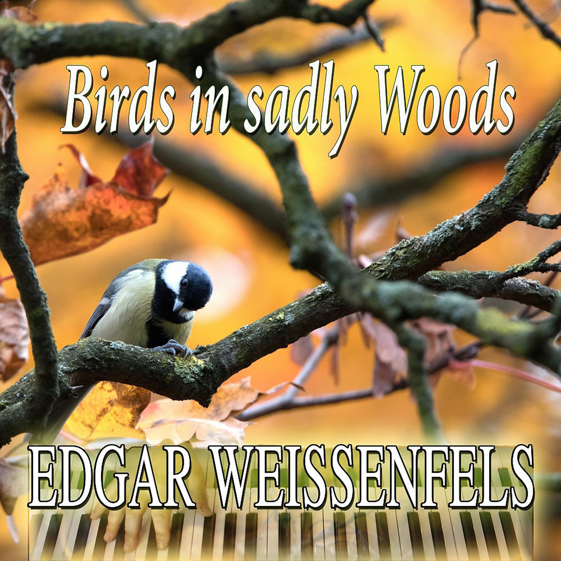 Постер альбома Birds In Sadly Woods (Main Theme)