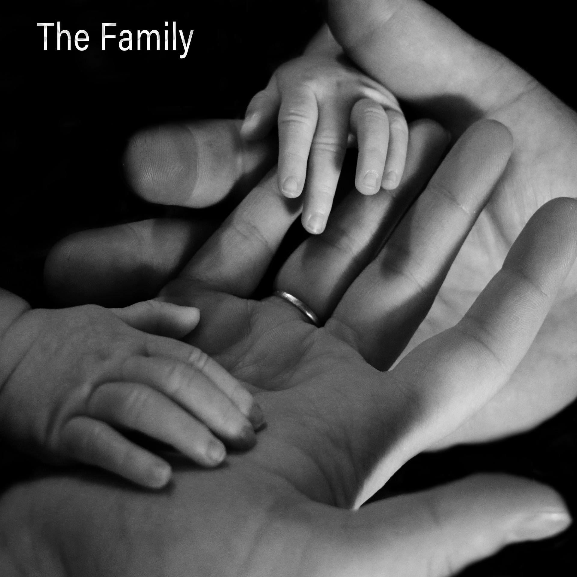Постер альбома The Family