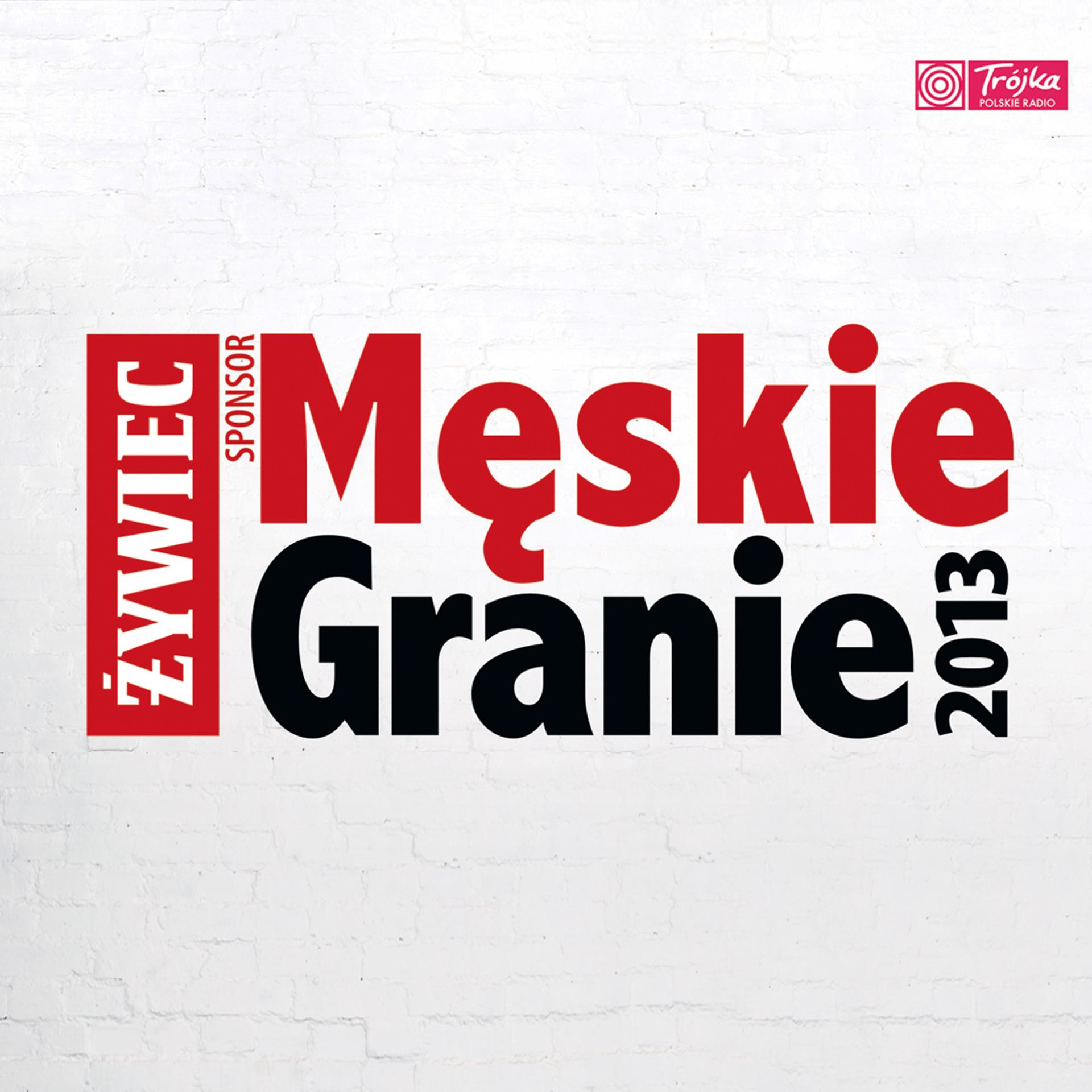 Постер альбома Męskie Granie 2013