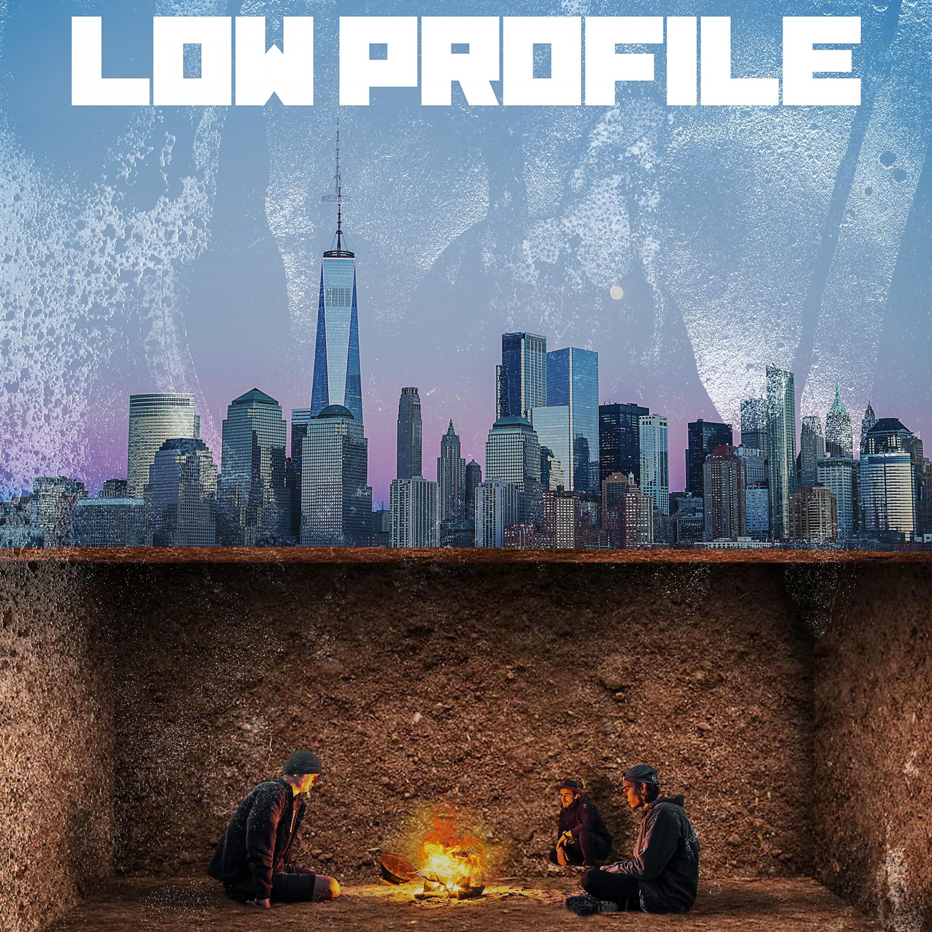 Постер альбома Low Profile