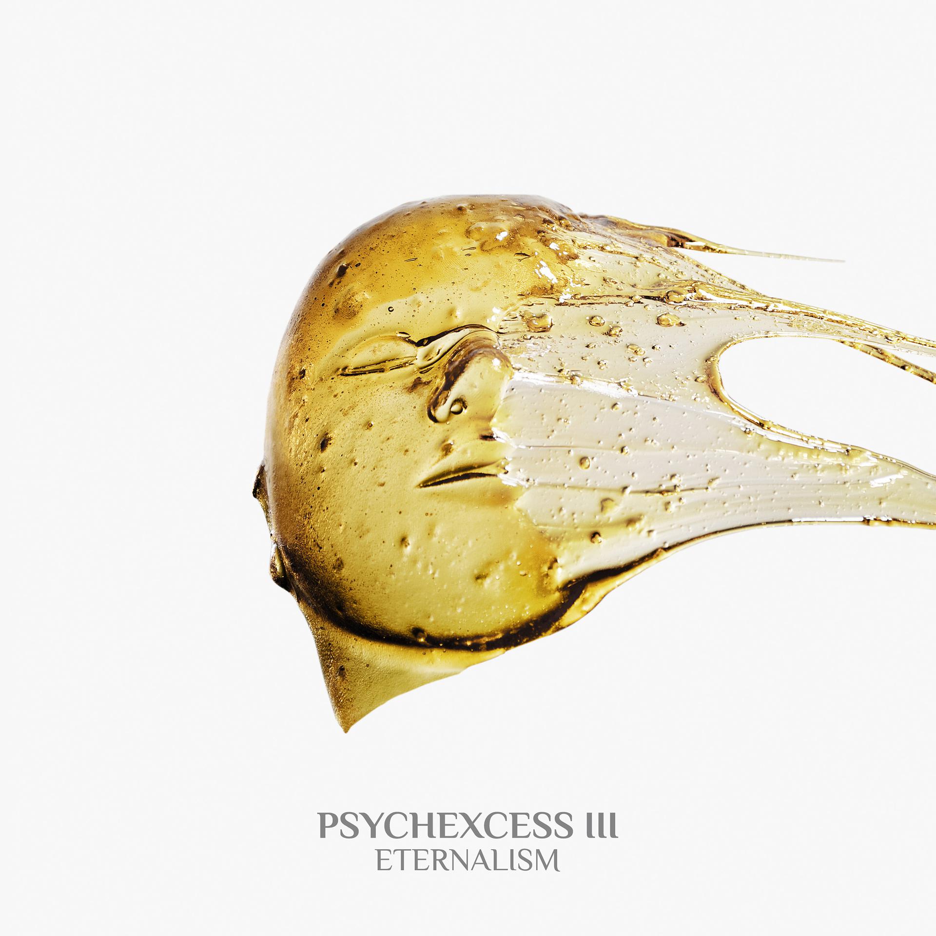 Постер альбома Psychexcess III - Eternalism