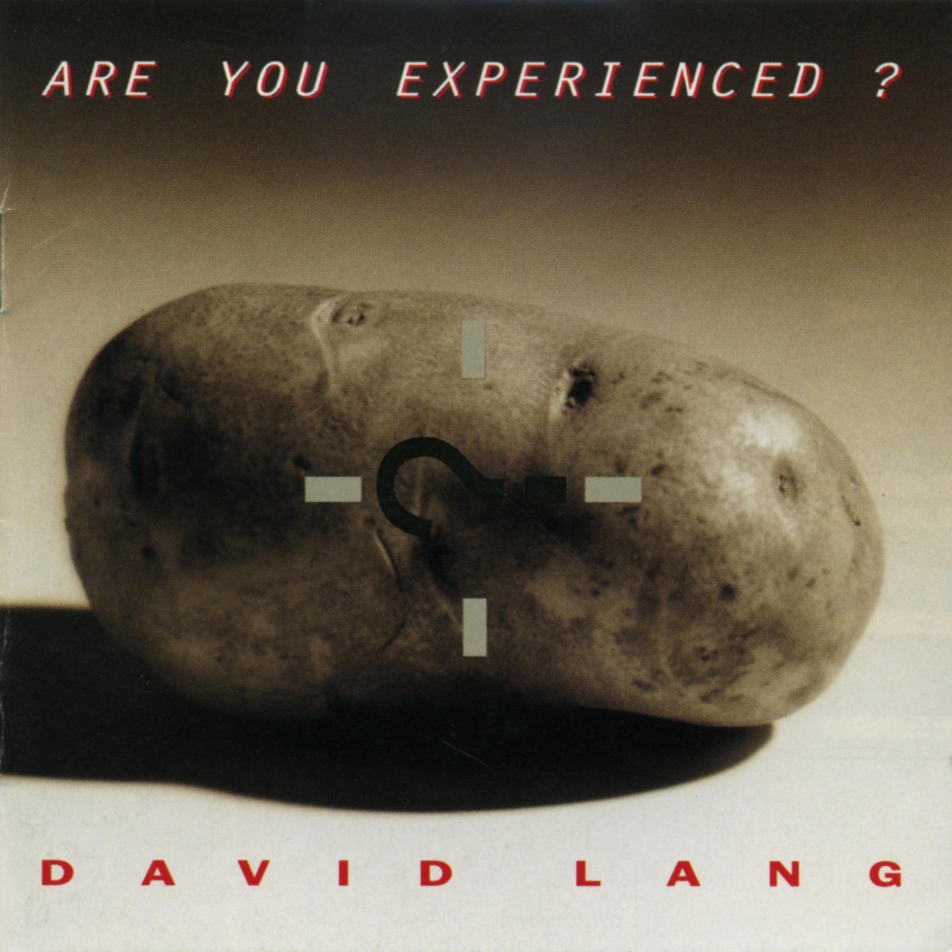 Постер альбома David Lang: Are You Experienced?