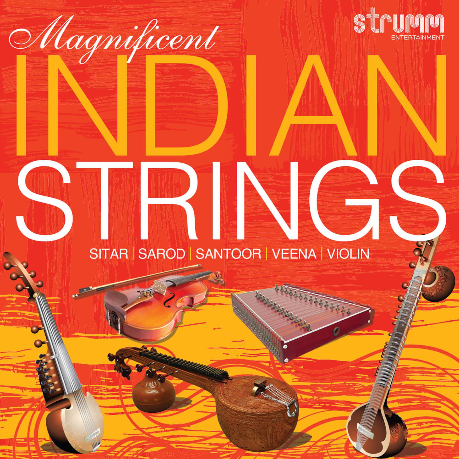 Постер альбома Magnificent Indian Strings