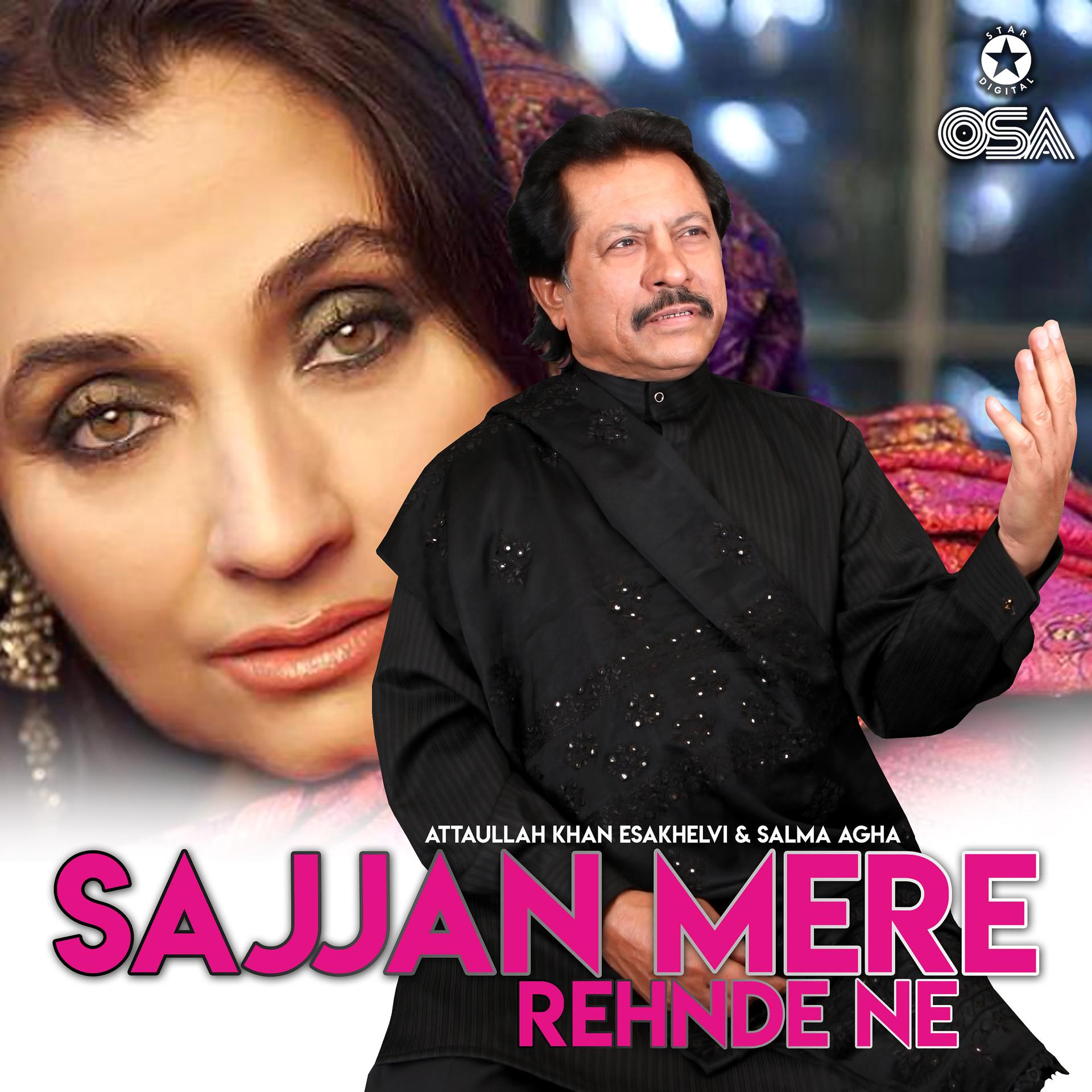 Постер альбома Sajjan Mere Rehnde Ne