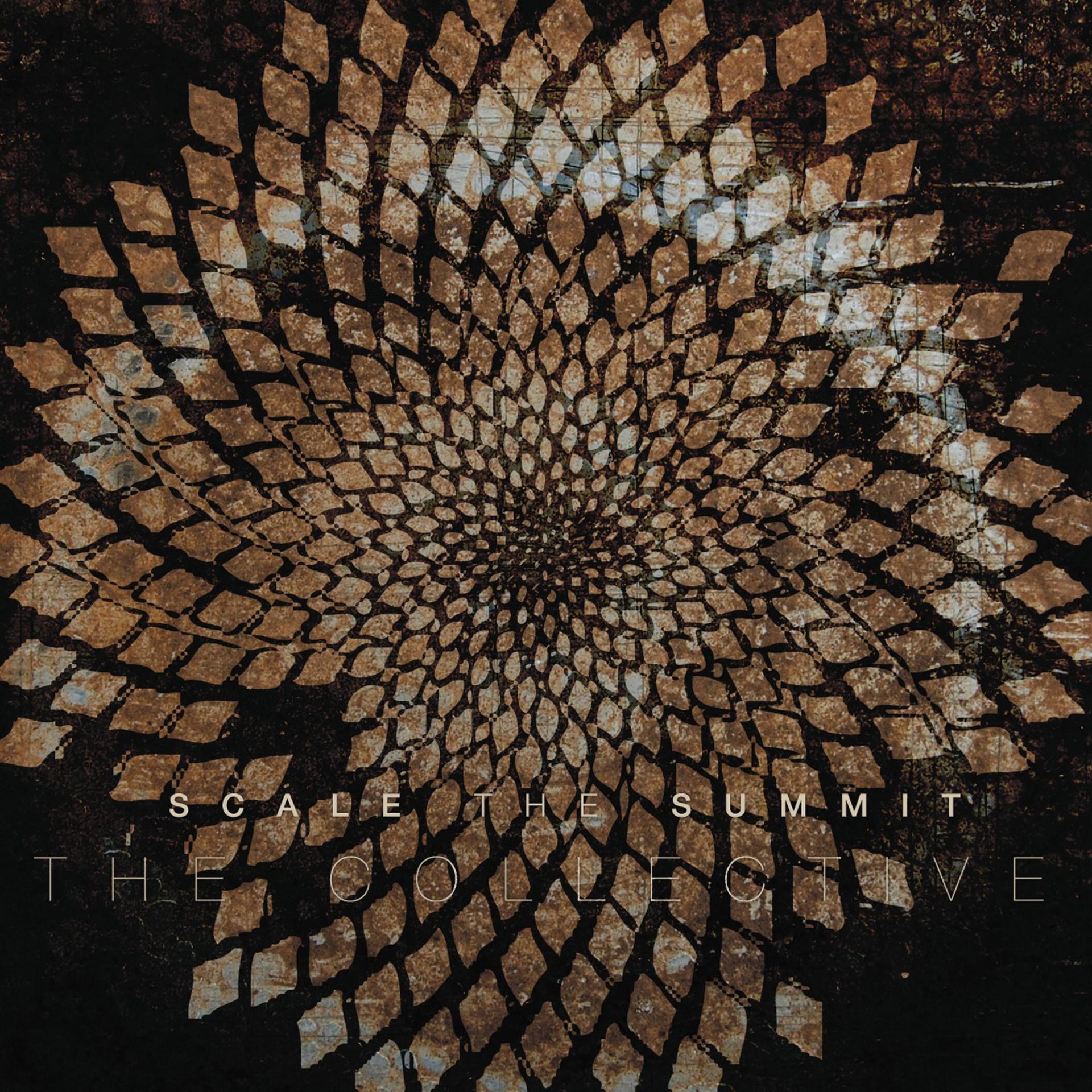 Постер альбома The Collective