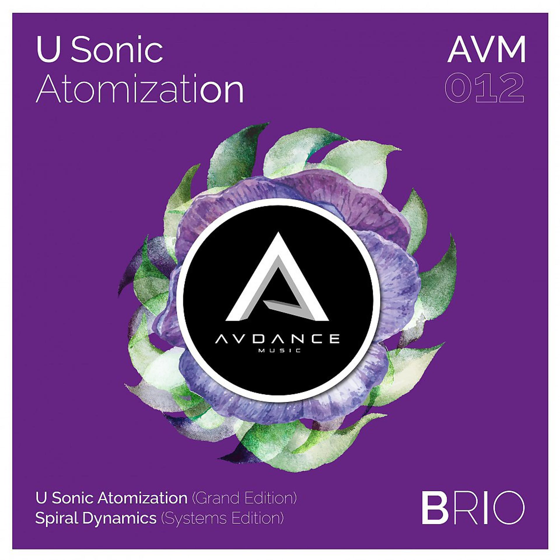 Постер альбома U Sonic Atomization