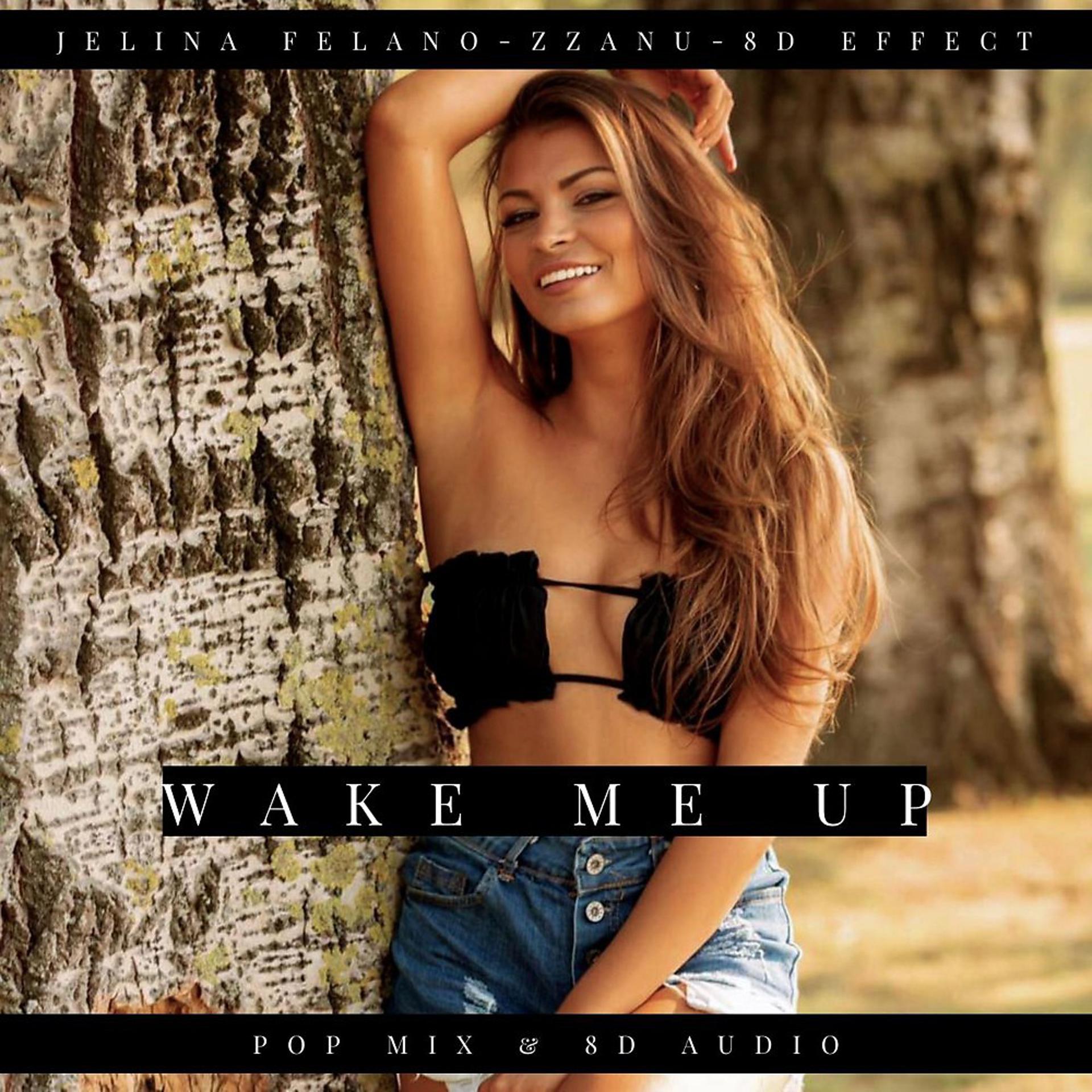 Постер альбома Wake Me Up (Pop Mix & 8D Audio)