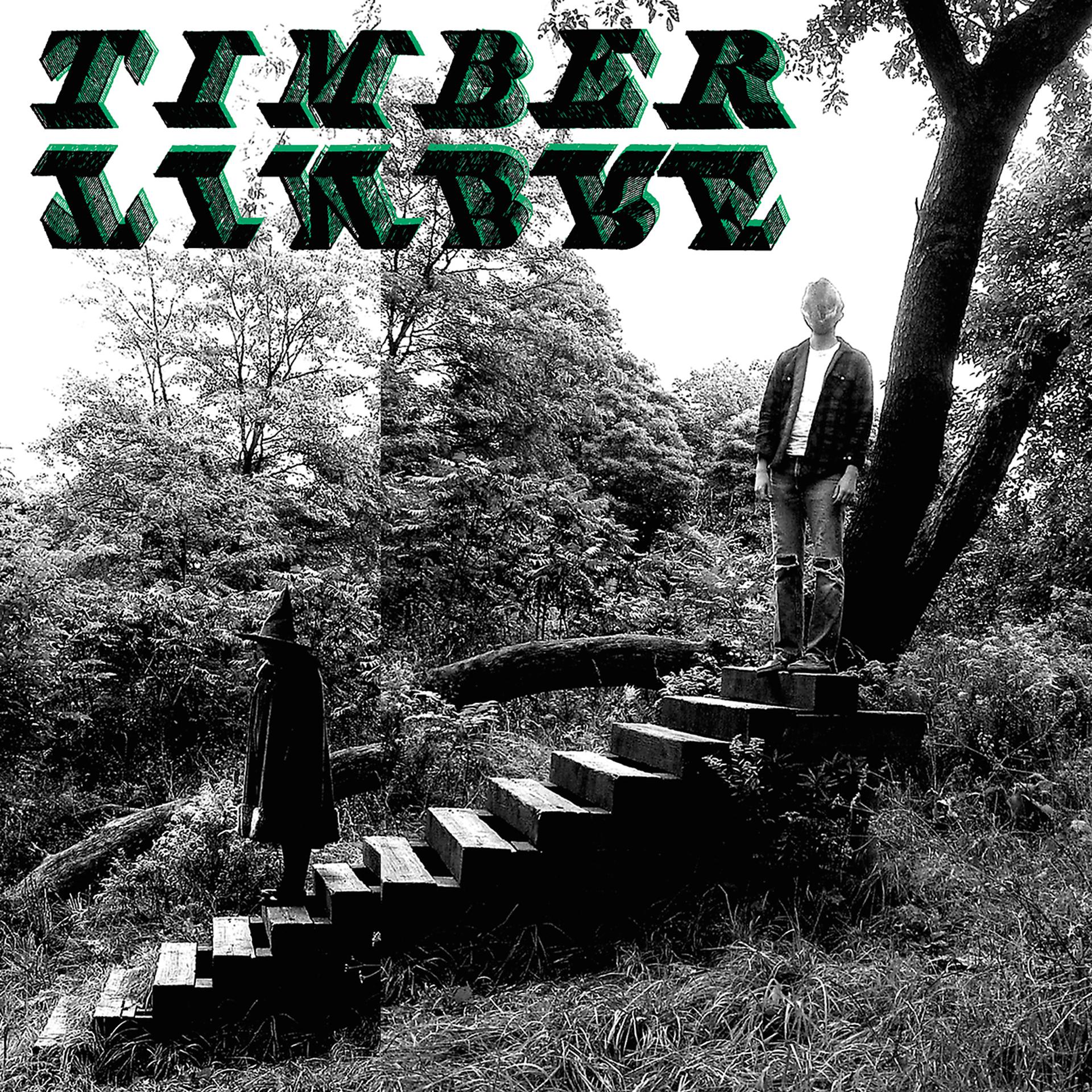 Постер альбома Timber Timbre