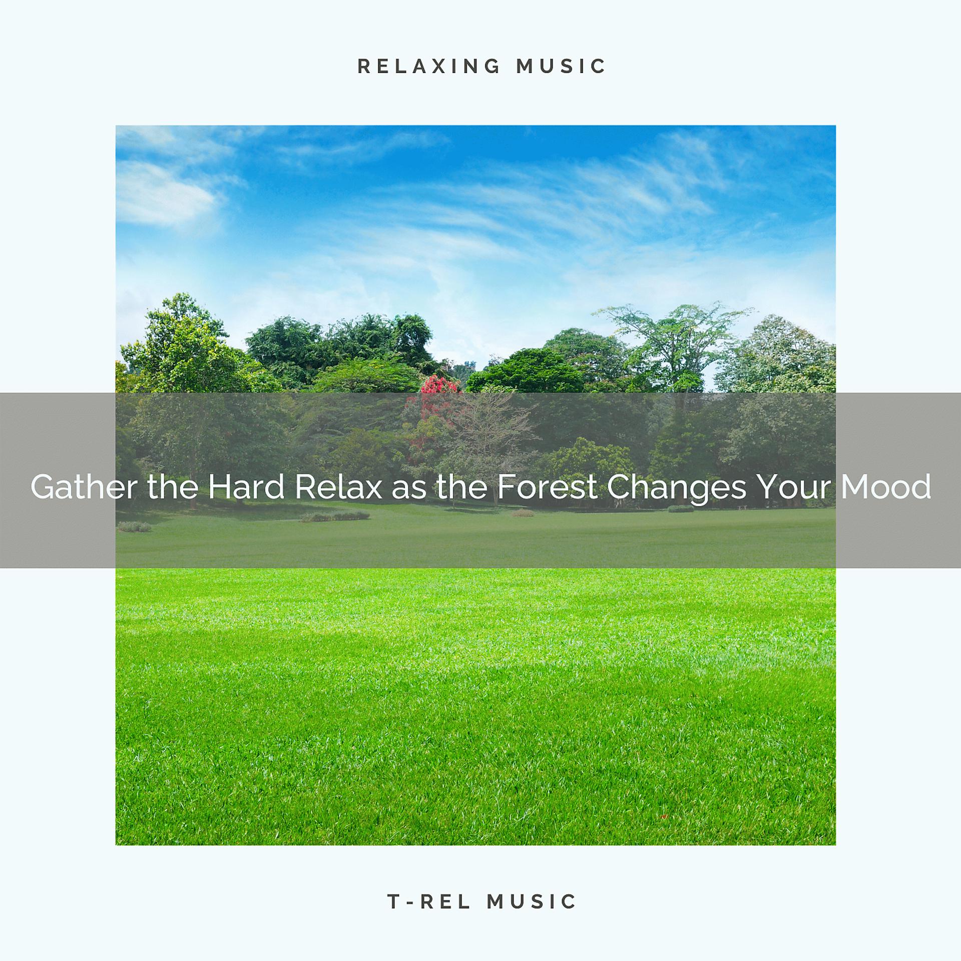 Постер альбома 2020 Best: Gather the Hard Relax as the Forest Changes Your Mood
