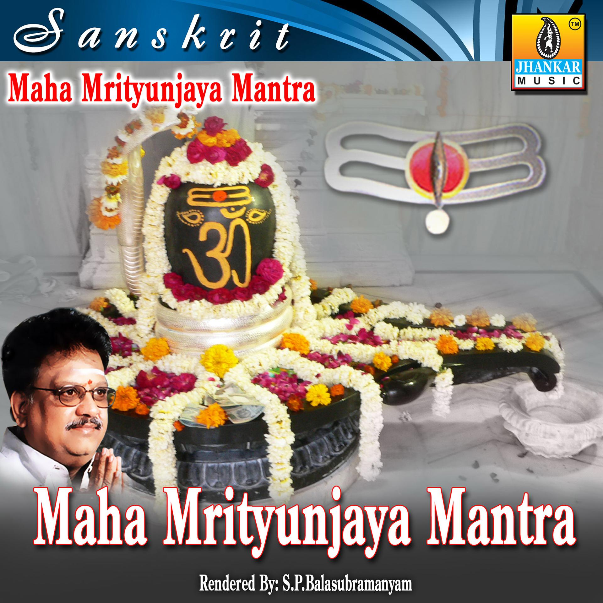 Постер альбома Maha Mrutyunjaya Mantra