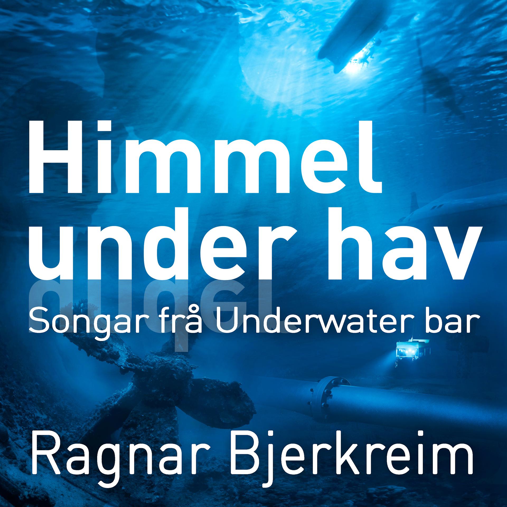 Постер альбома Himmel under hav
