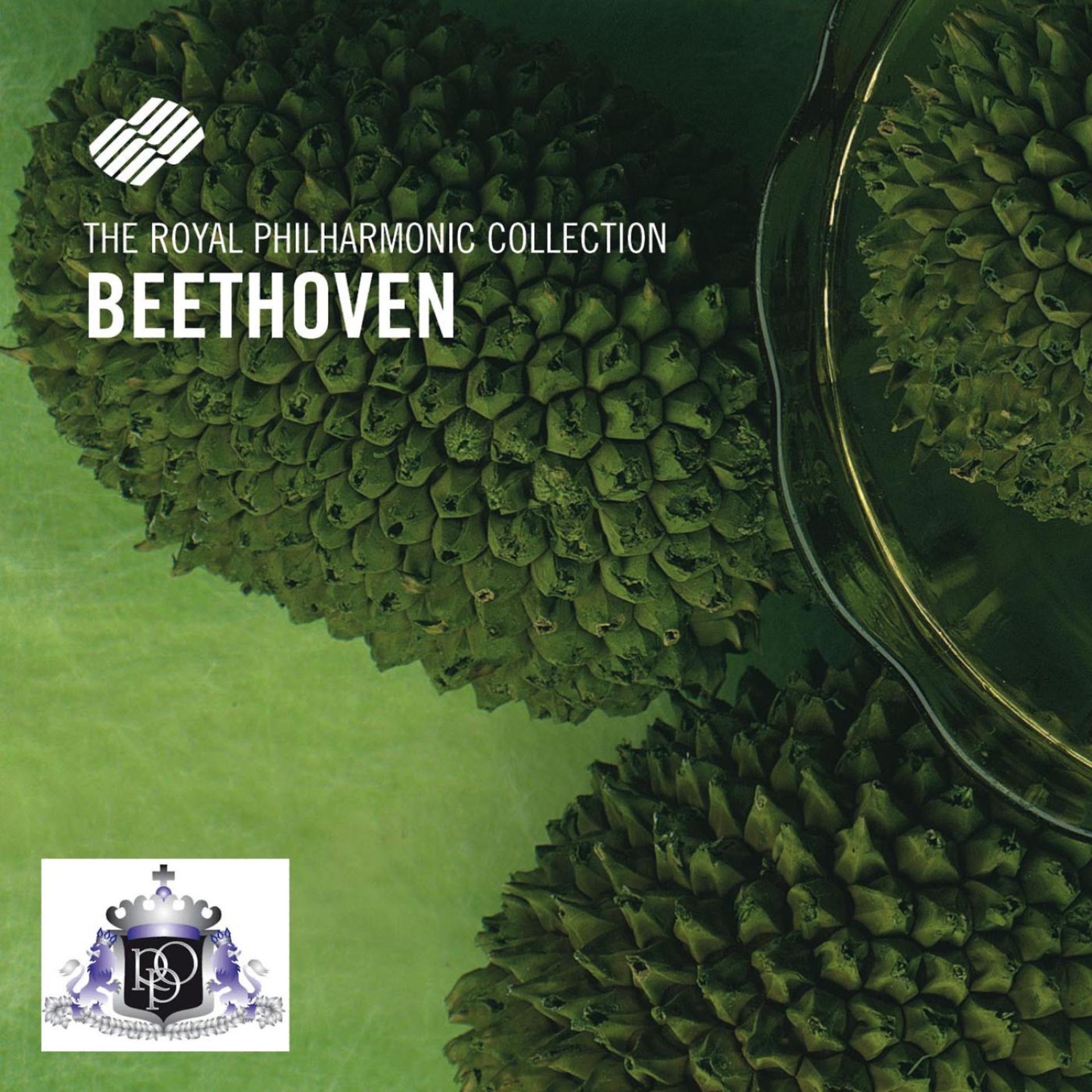 Постер альбома Ludwig van Beethoven