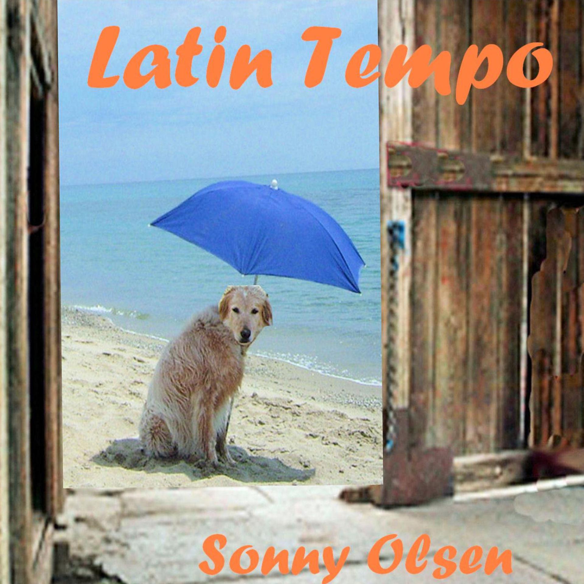 Постер альбома Latin Tempo