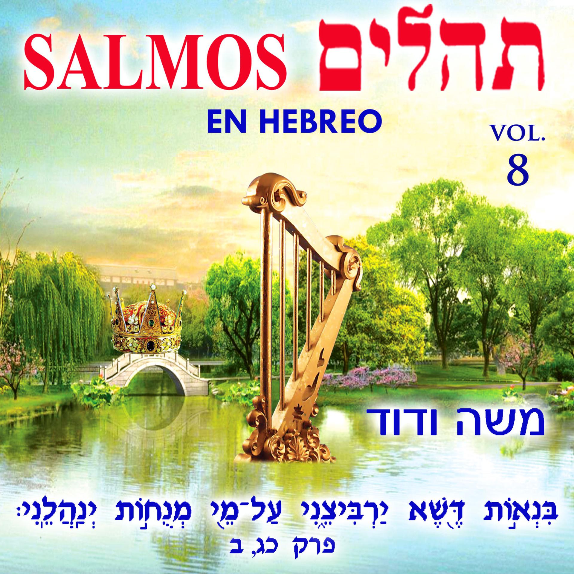 Постер альбома Tehilim Salmos en Hebreo, Vol. 8