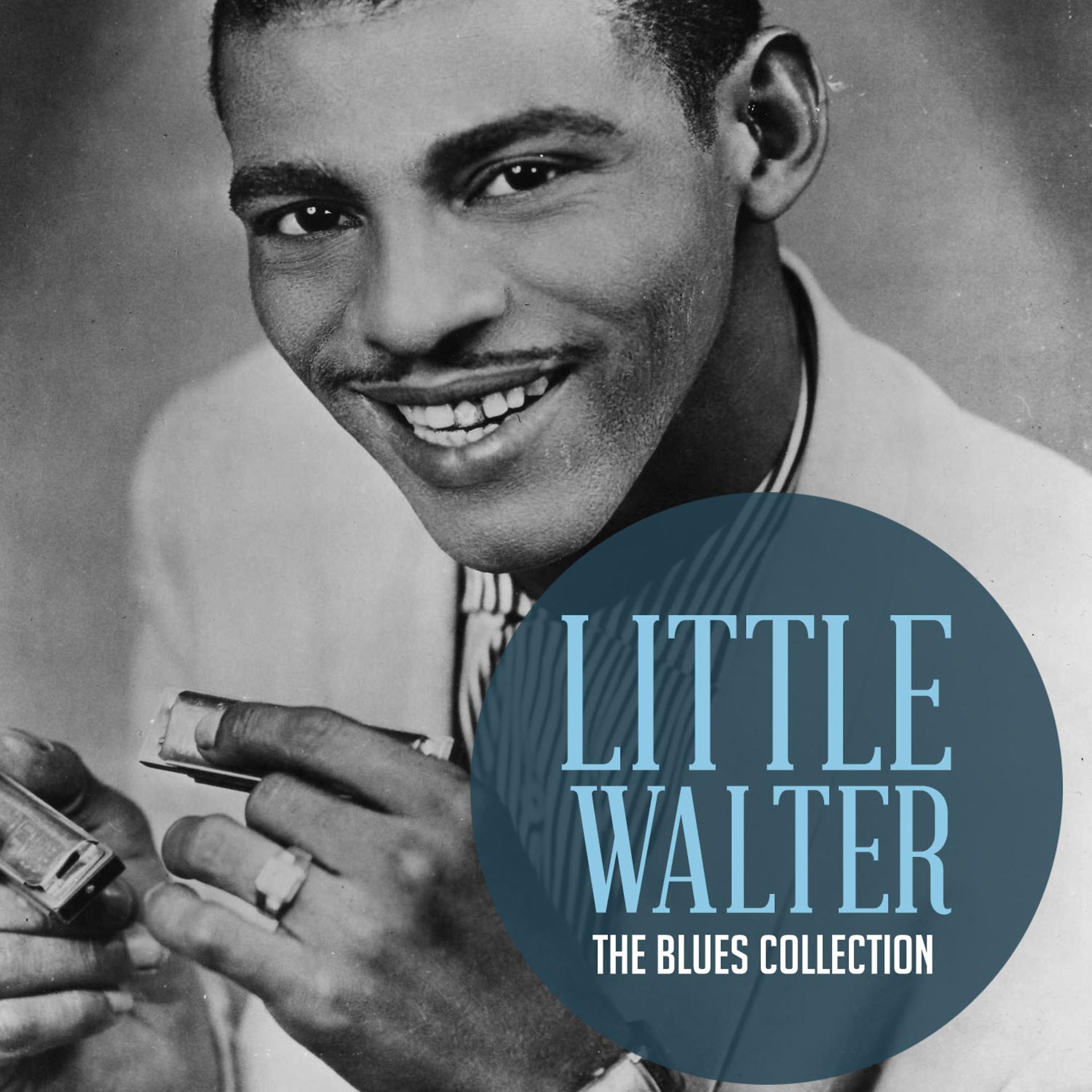 Постер альбома The Classic Blues Collection: Little Walter