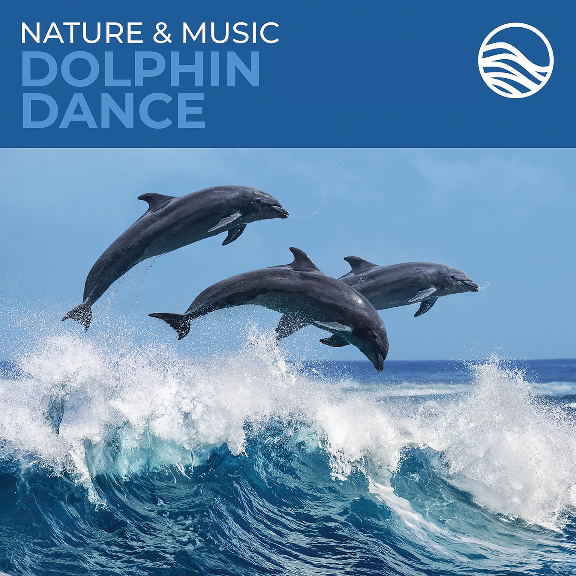 Постер альбома Nature & Music: Dolphin Dance