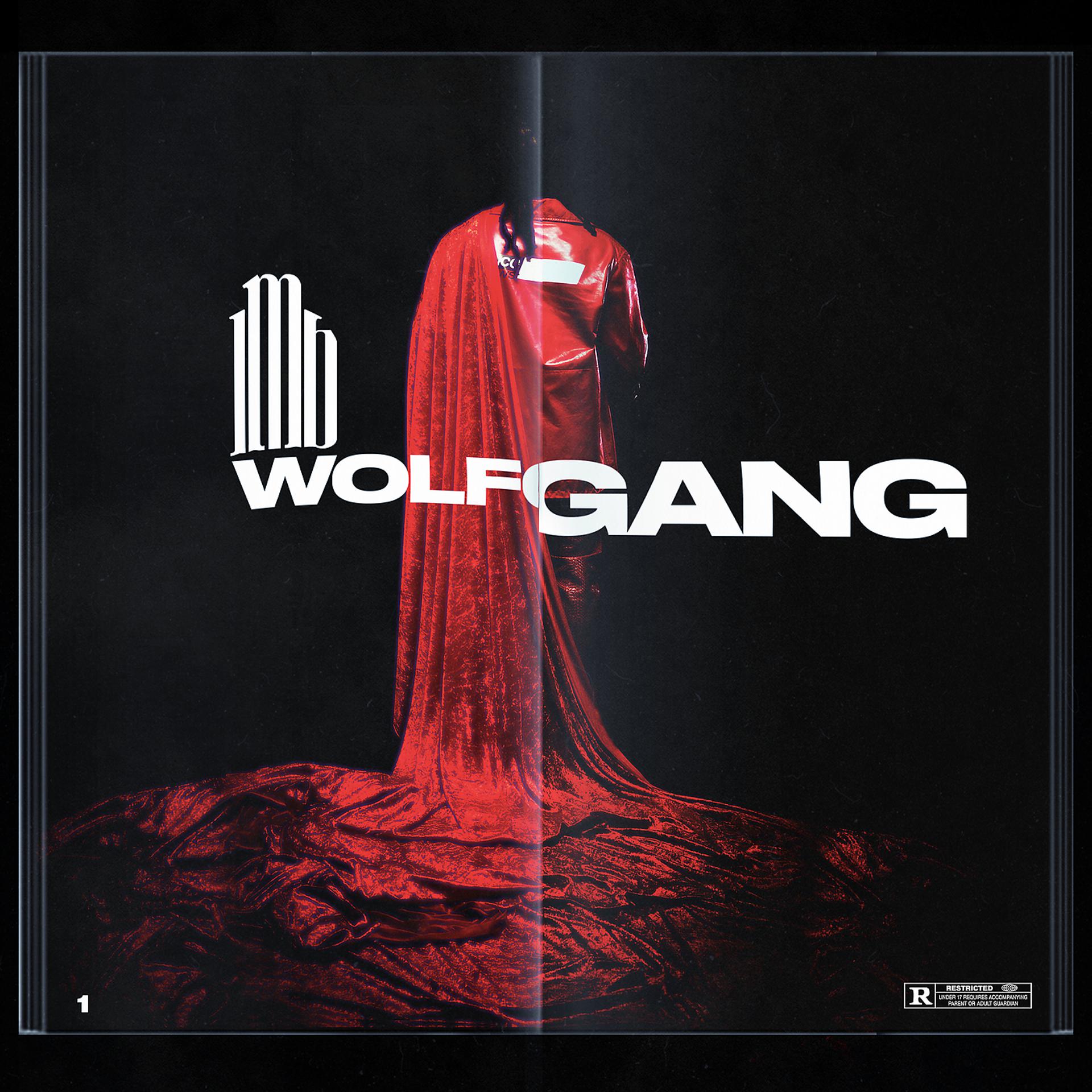 Постер альбома WOLFGANG