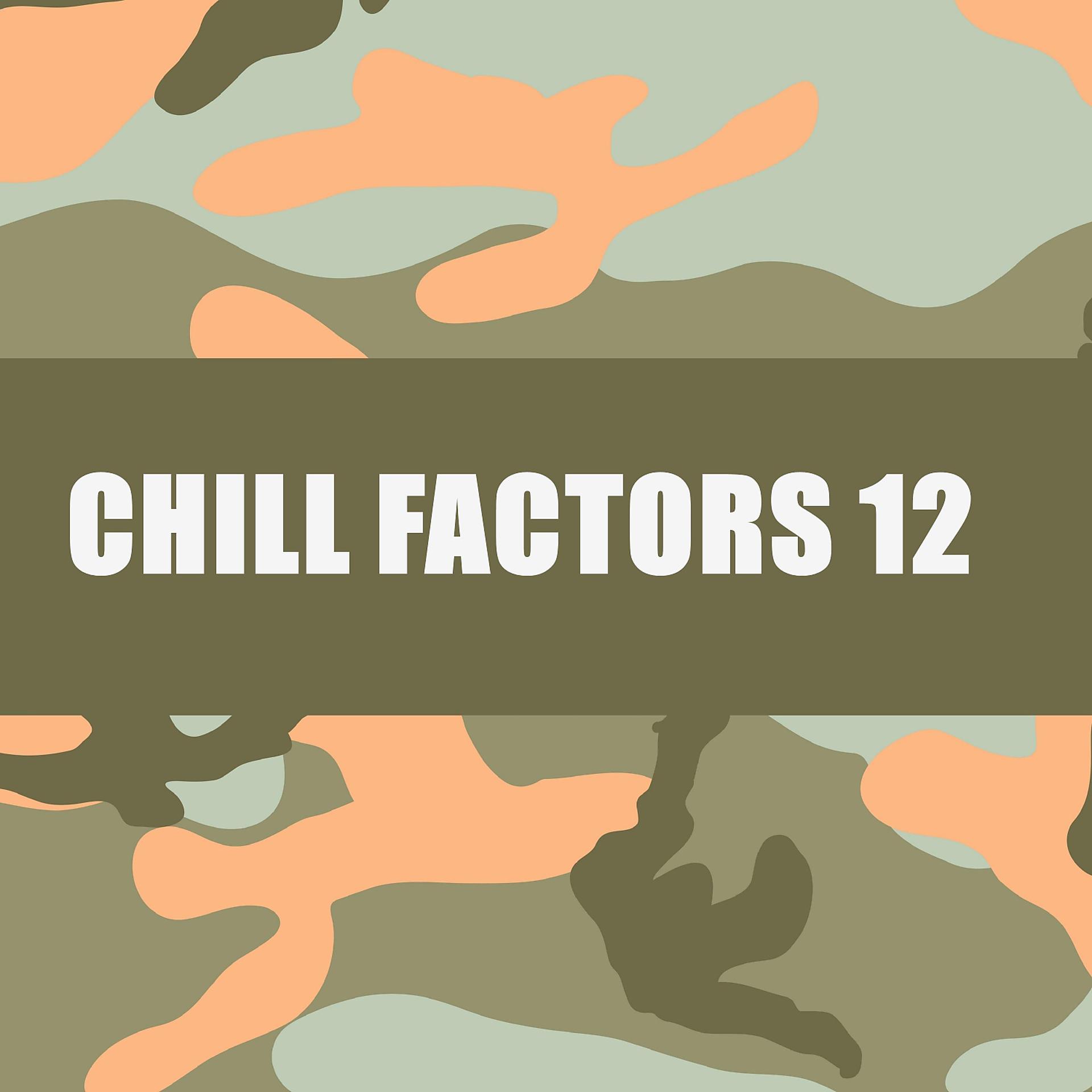 Постер альбома CHILL FACTORS 12