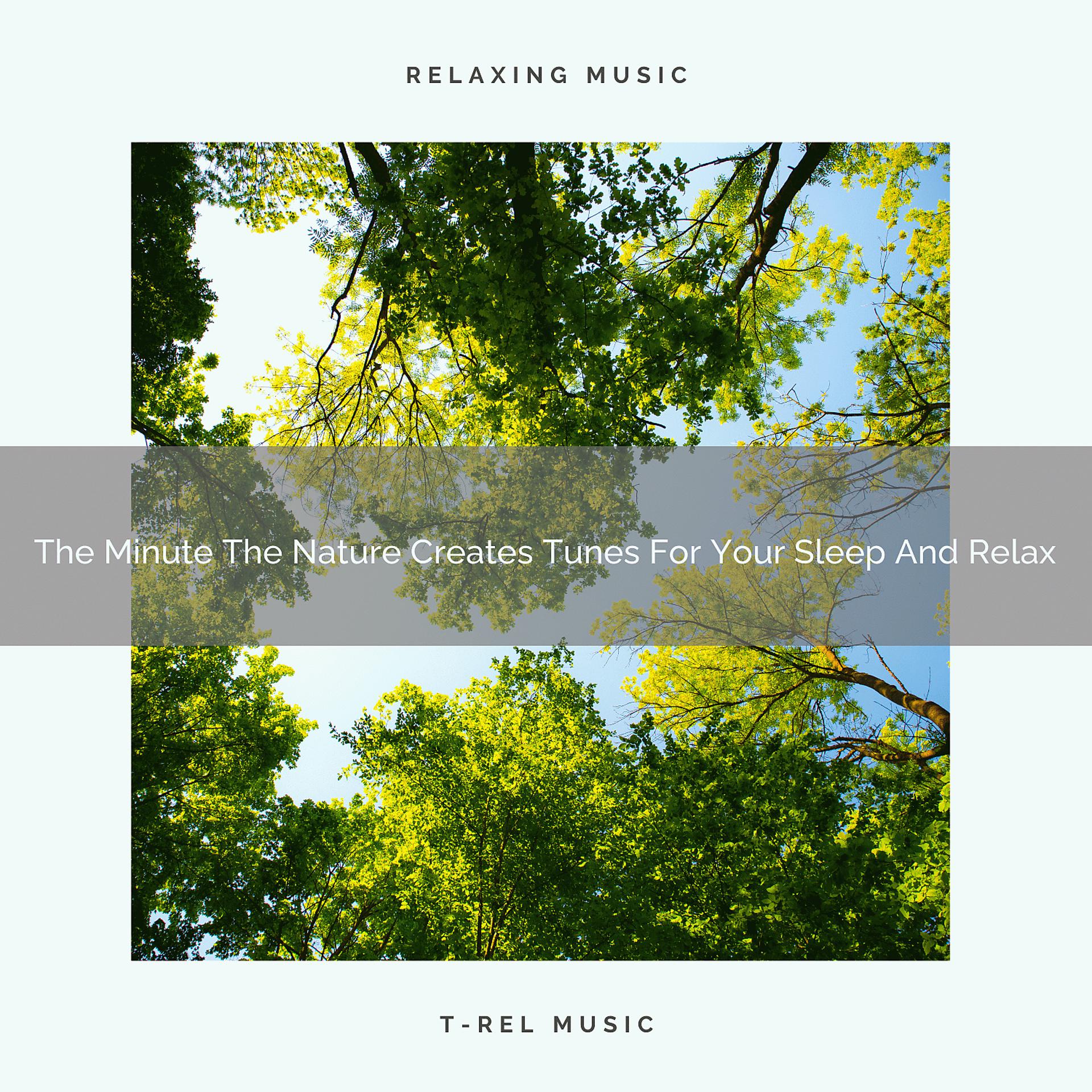 Постер альбома 2020 Best: The Minute The Nature Creates Tunes For Your Sleep And Relax