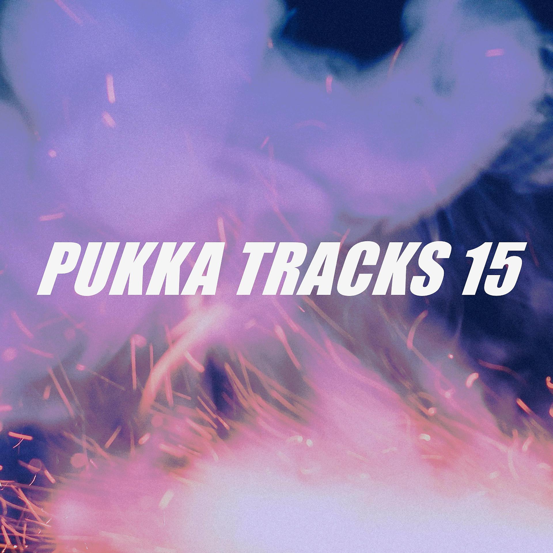 Постер альбома PUKKA TRACKS 15