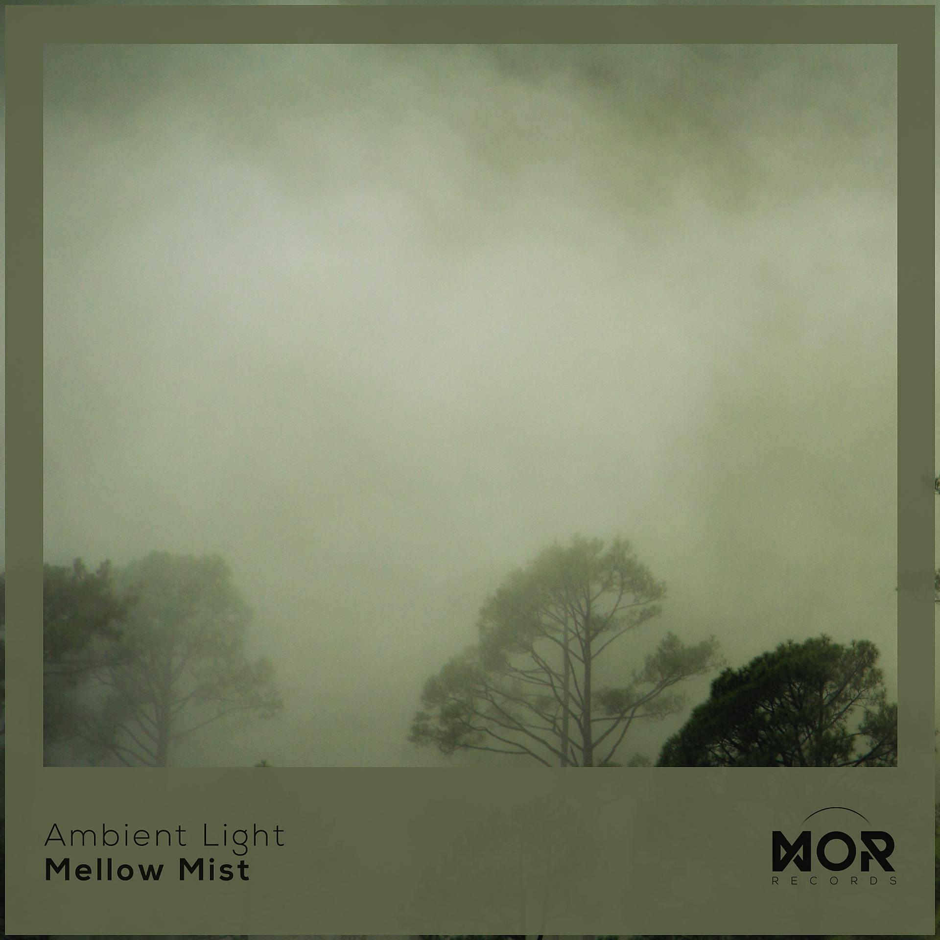 Постер альбома Mellow Mist
