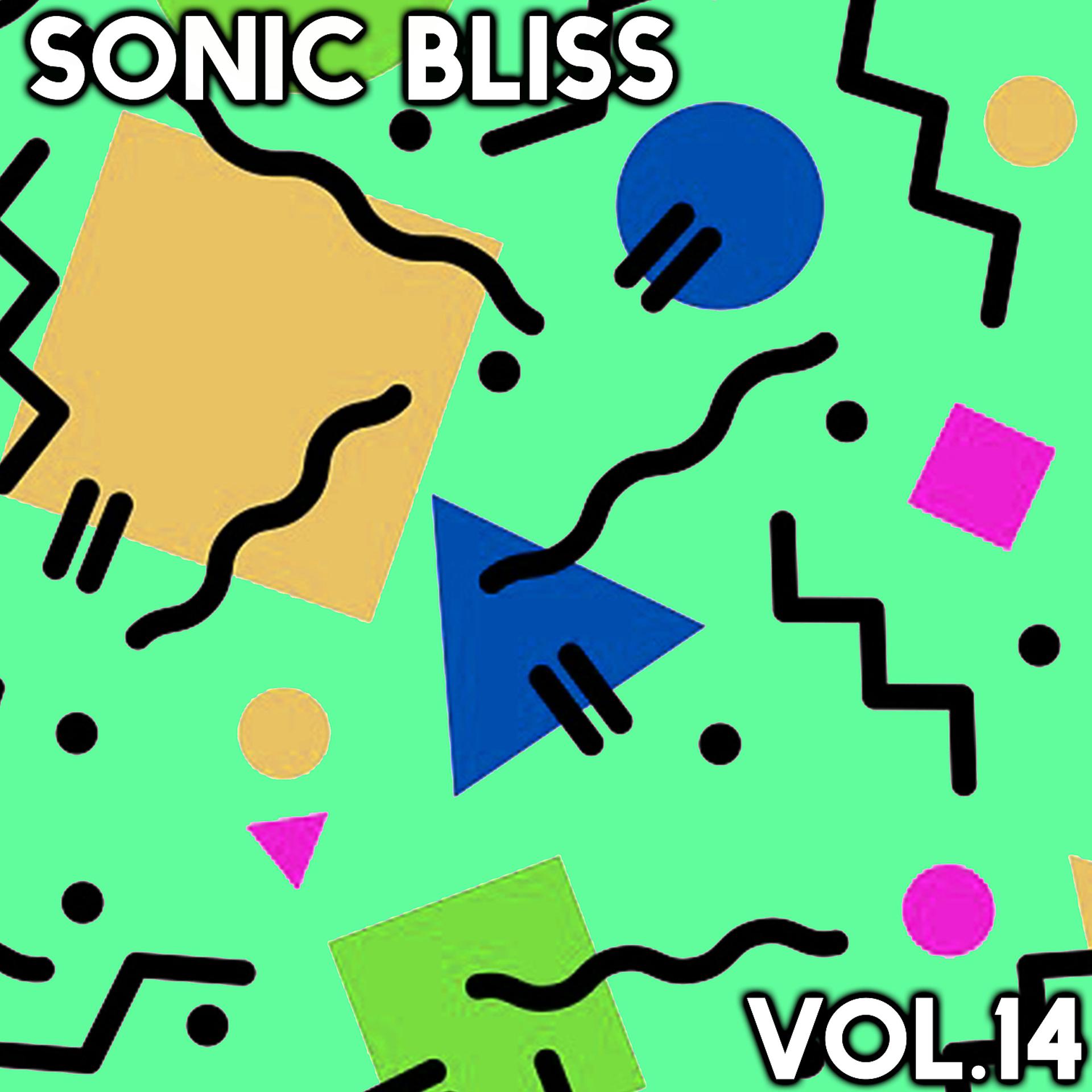 Постер альбома Sonic Bliss, Vol. 14