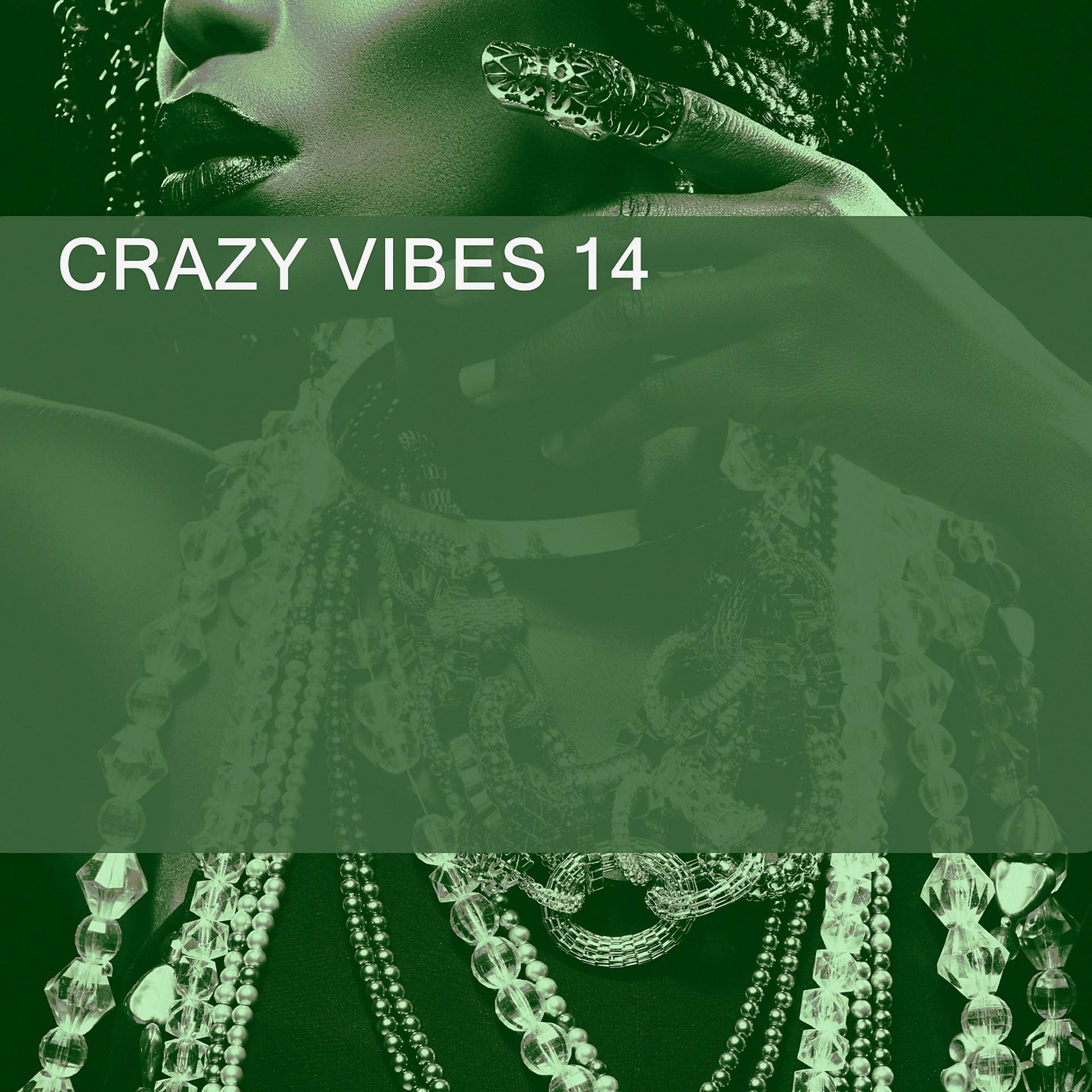Постер альбома CRAZY VIBES 14