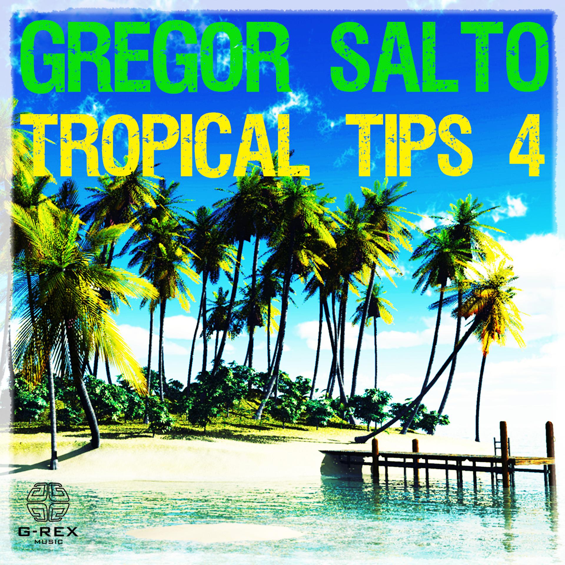 Постер альбома Gregor Salto - Tropical Tips 4