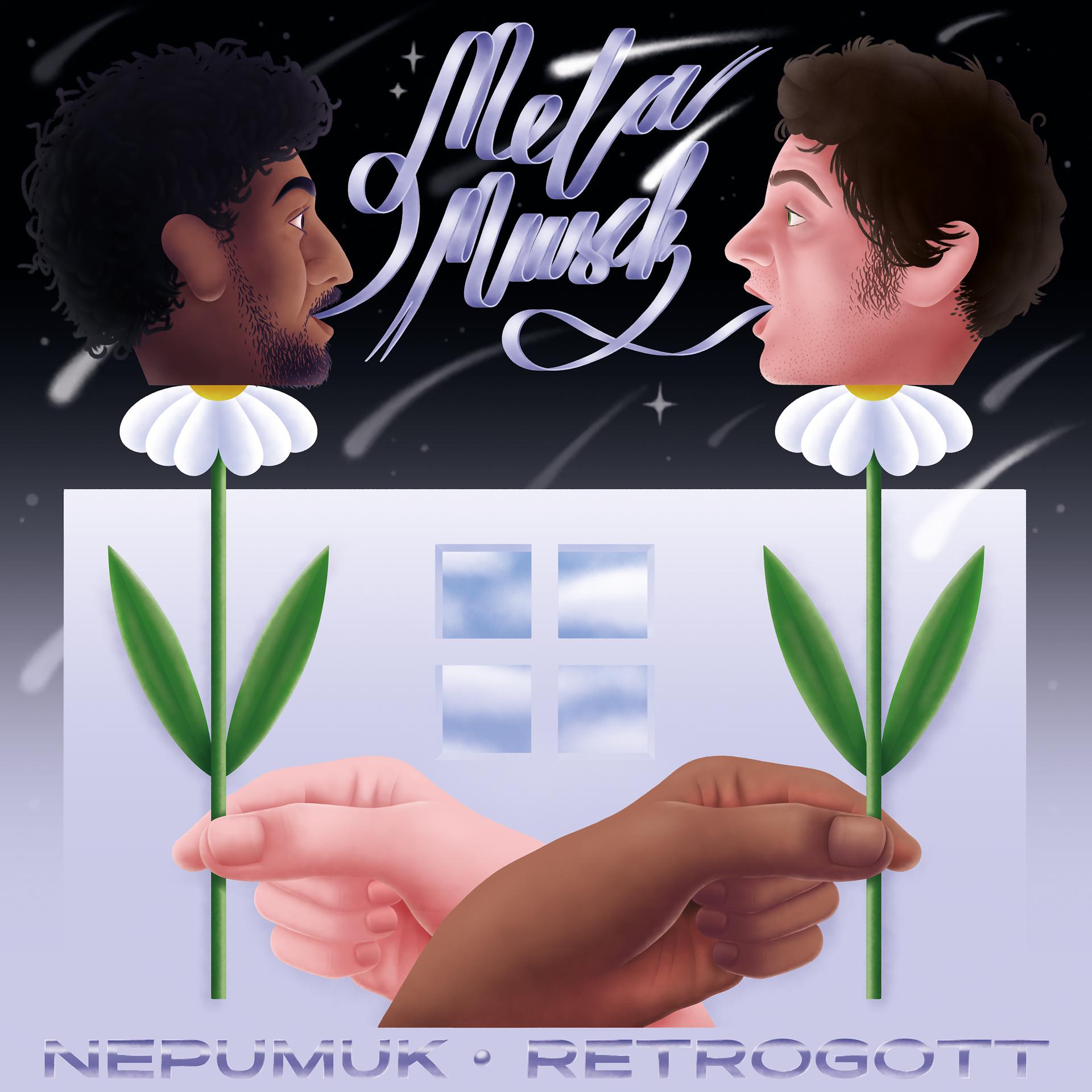 Постер альбома Metamusik