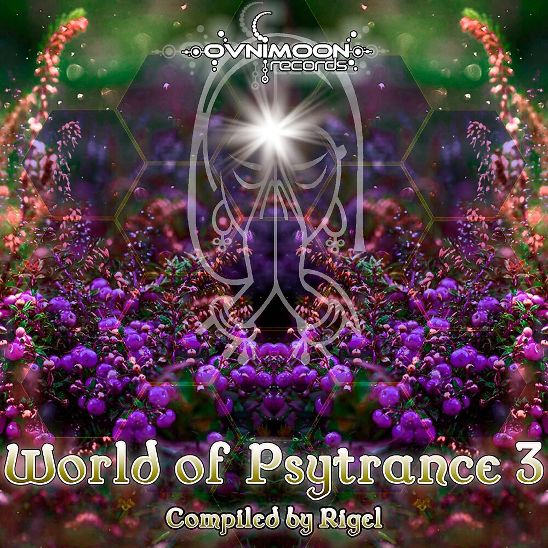 Постер альбома World Of Psytrance 3