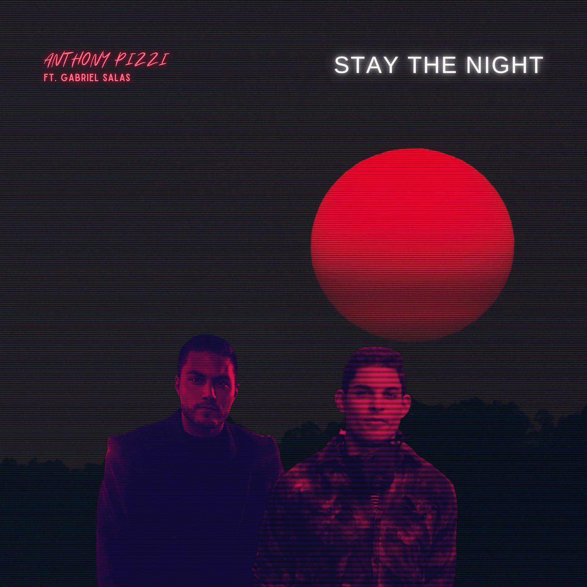 Постер альбома Stay the Night