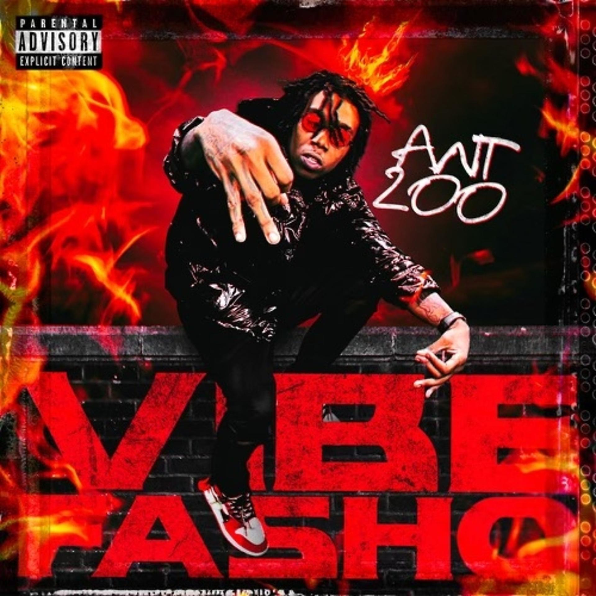 Постер альбома Vibe Fasho