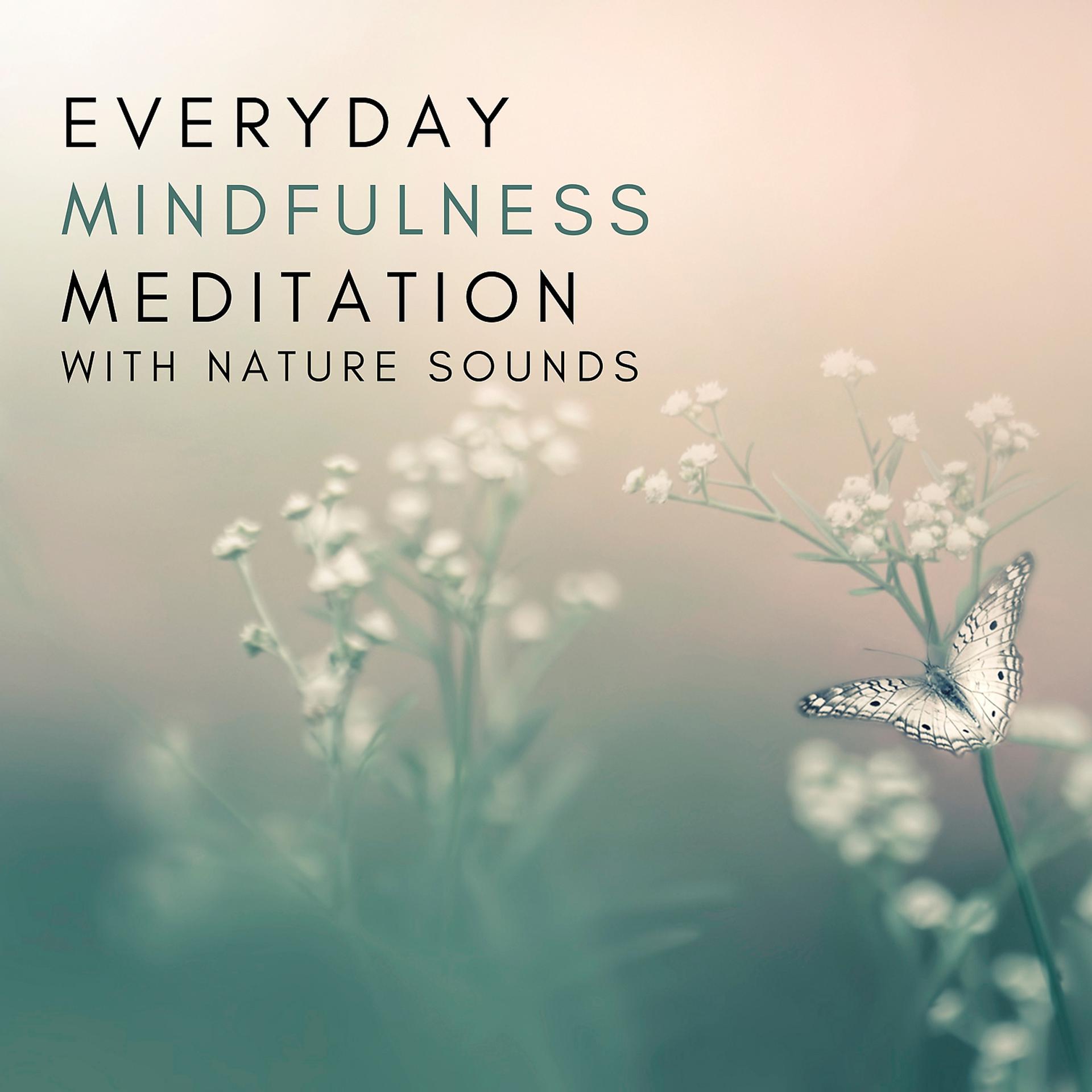 Постер альбома Everyday Mindfulness Meditation with Nature Sounds: Find Inner Tranquility, Be Free from Stress, Easily Brighten Your Day