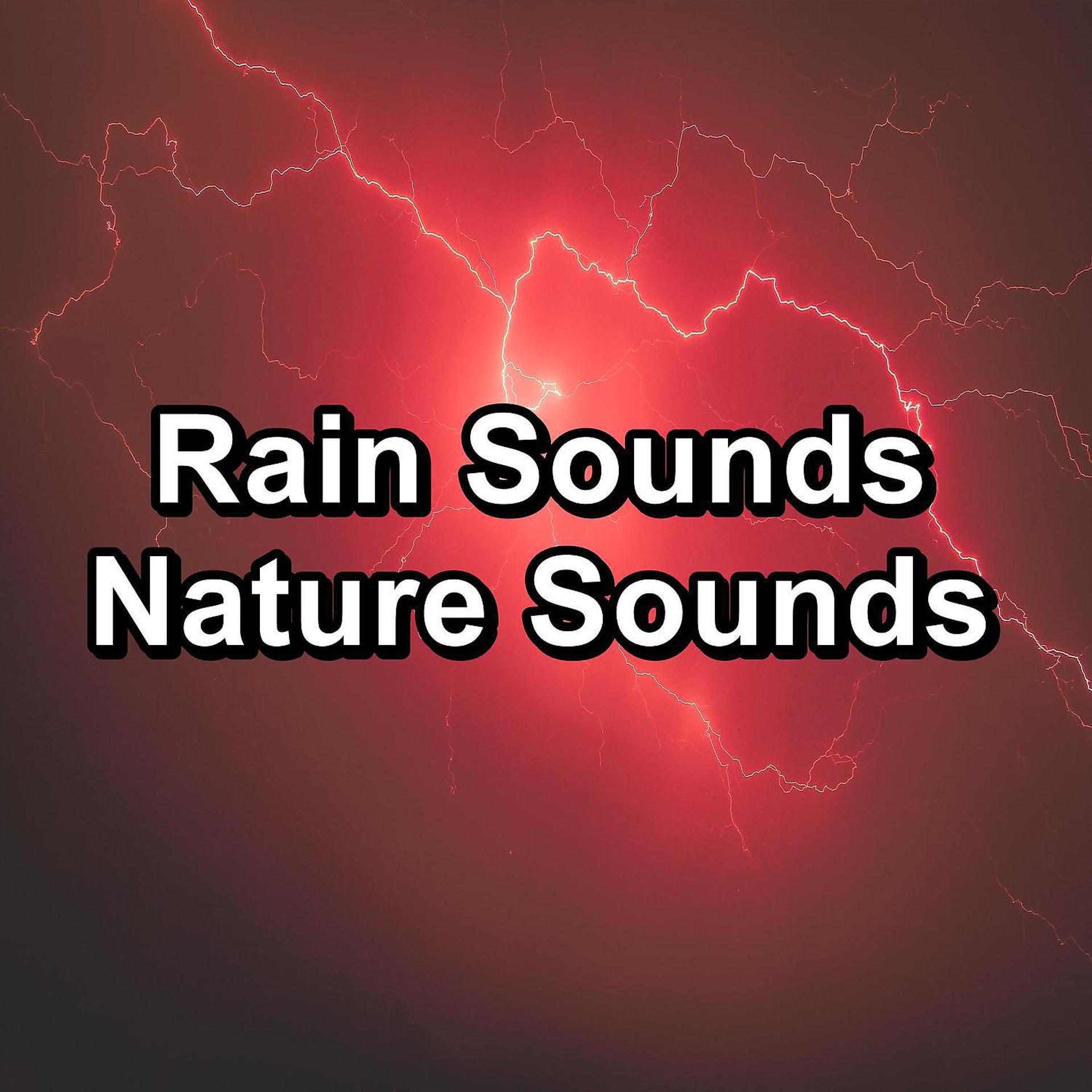 Постер альбома Rain Sounds Nature Sounds