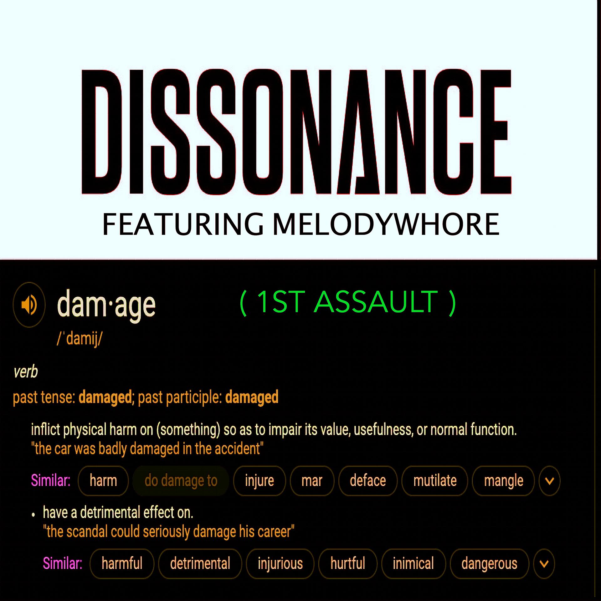 Постер альбома Damage (1st Assault)