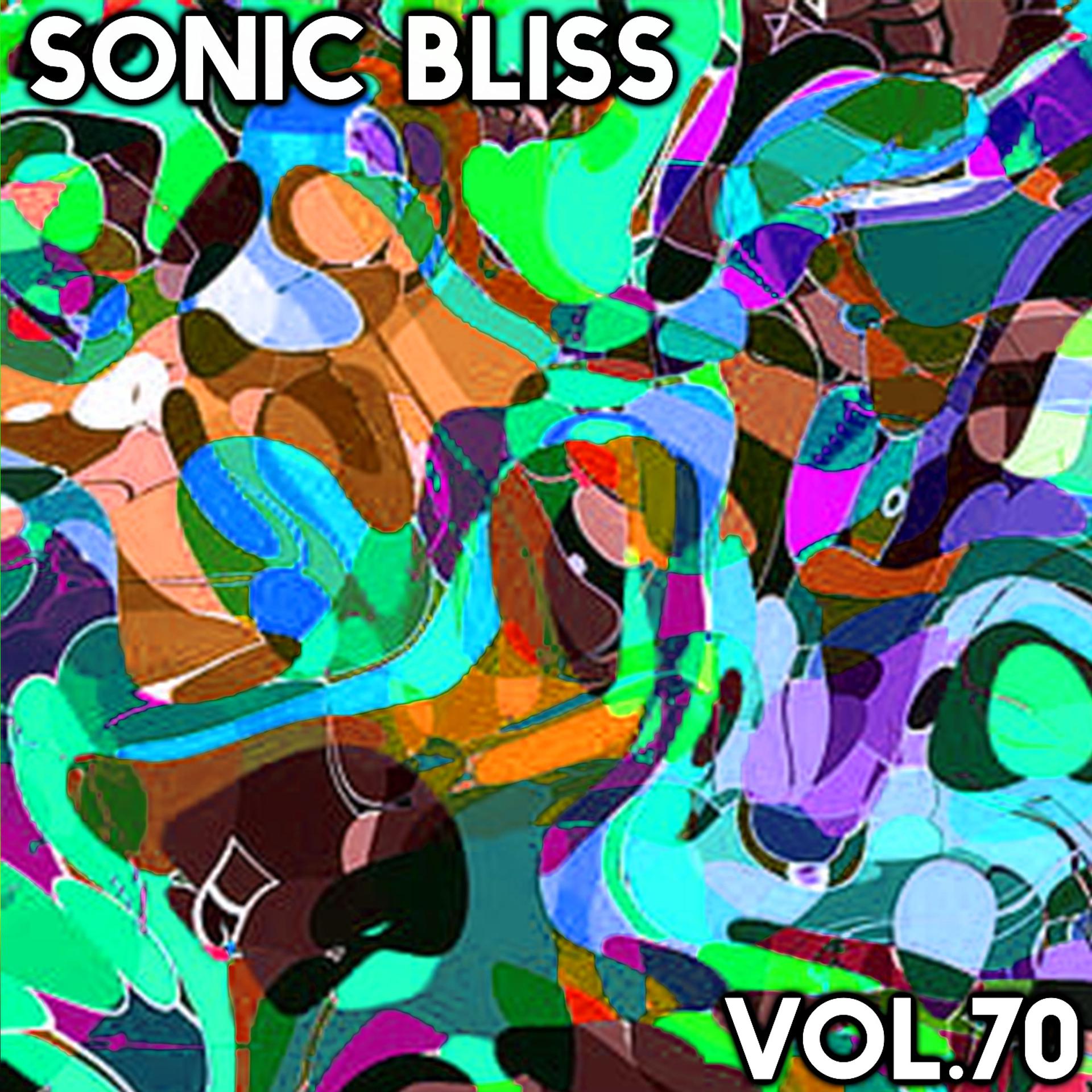 Постер альбома Sonic Bliss, Vol. 70