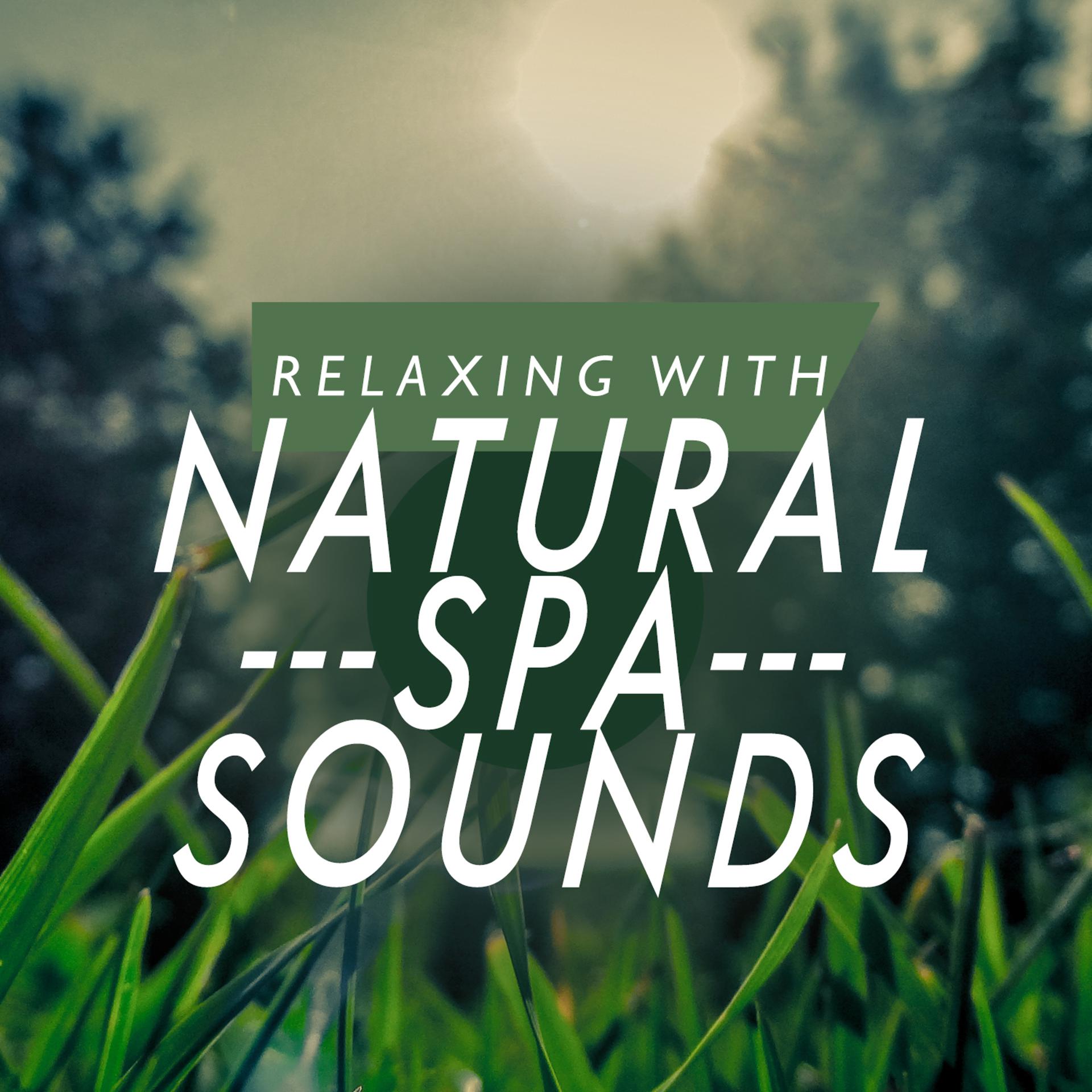 Постер альбома Relaxing with Natural Spa Sounds