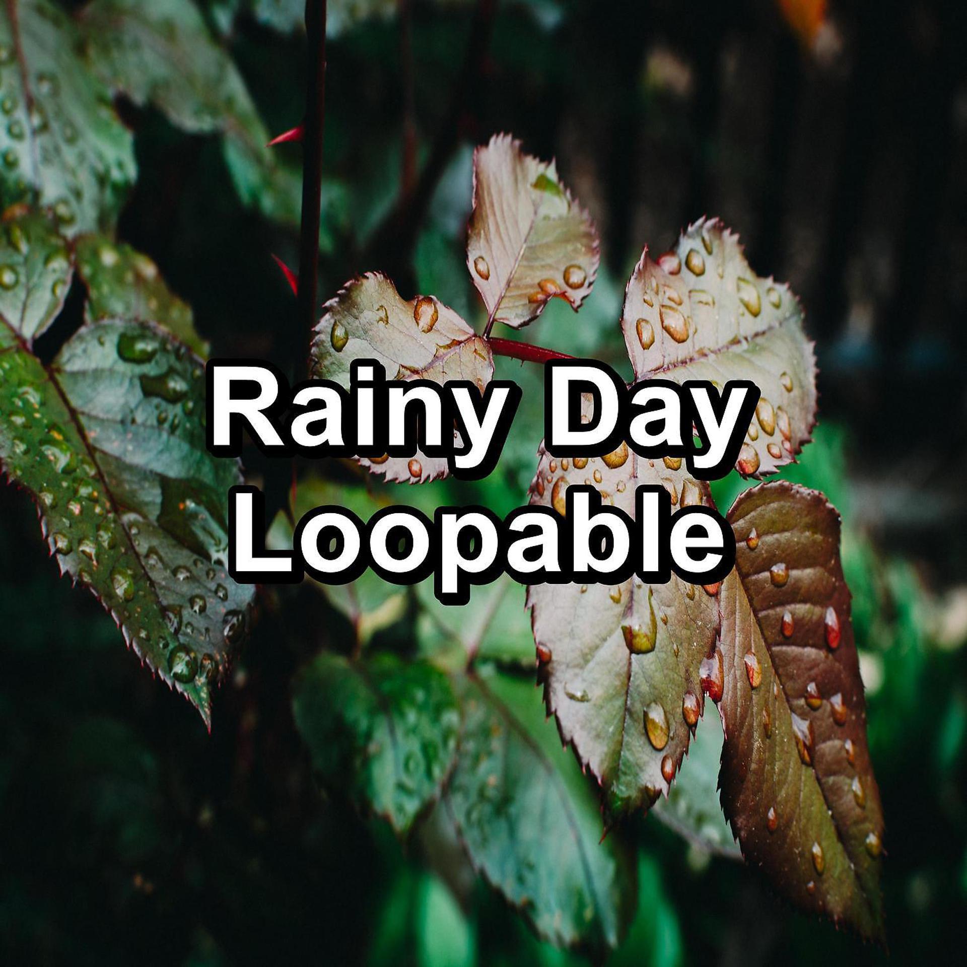 Постер альбома Rainy Day Loopable