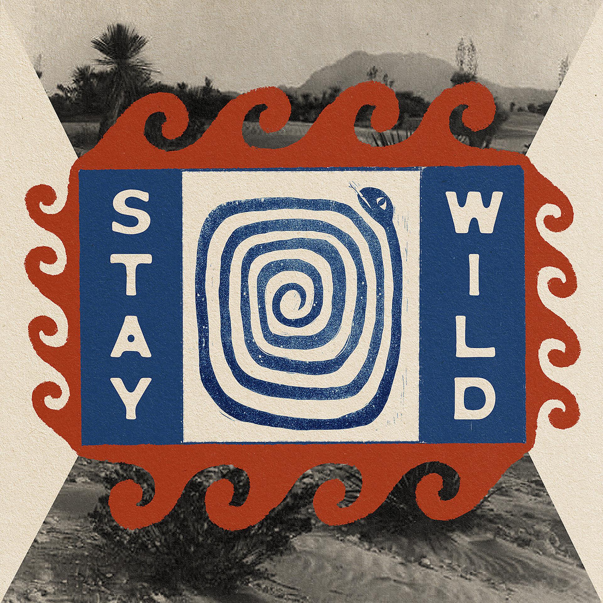 Постер альбома Stay Wild