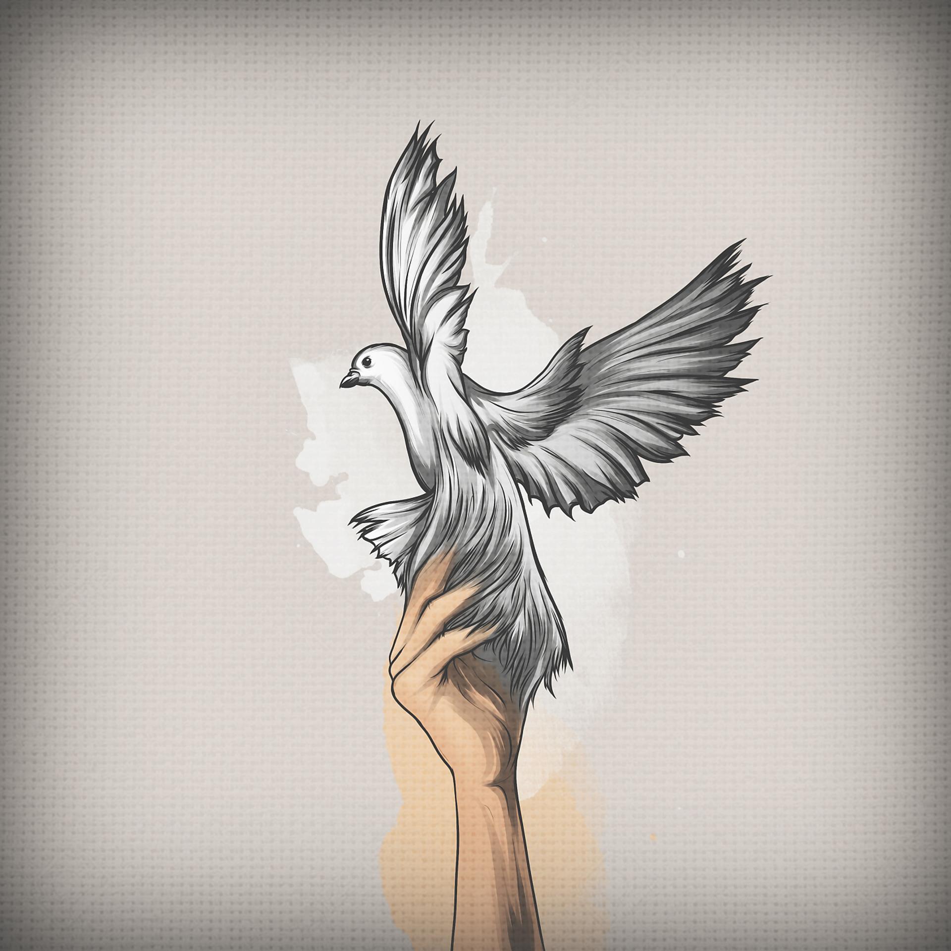 Постер альбома Птица в руках