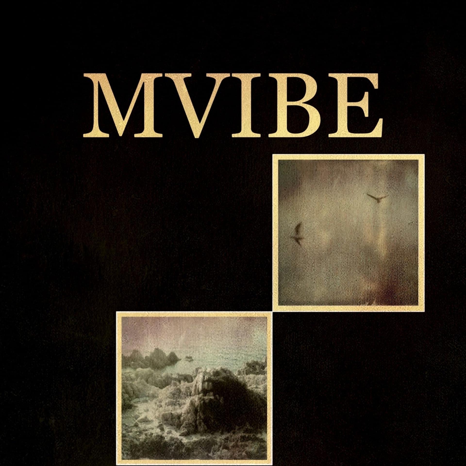 Постер альбома Mvibe