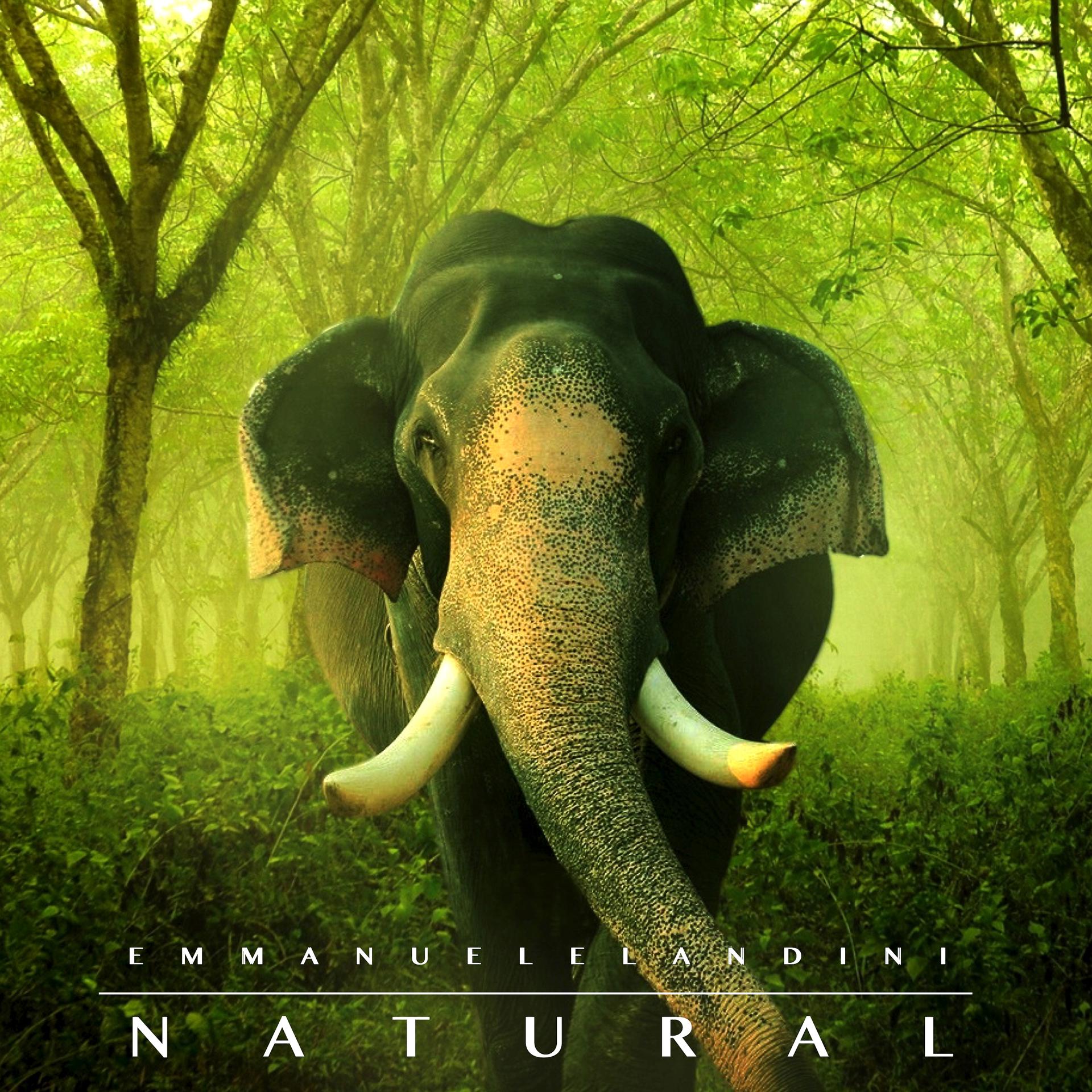 Постер альбома Natural (Remastered)