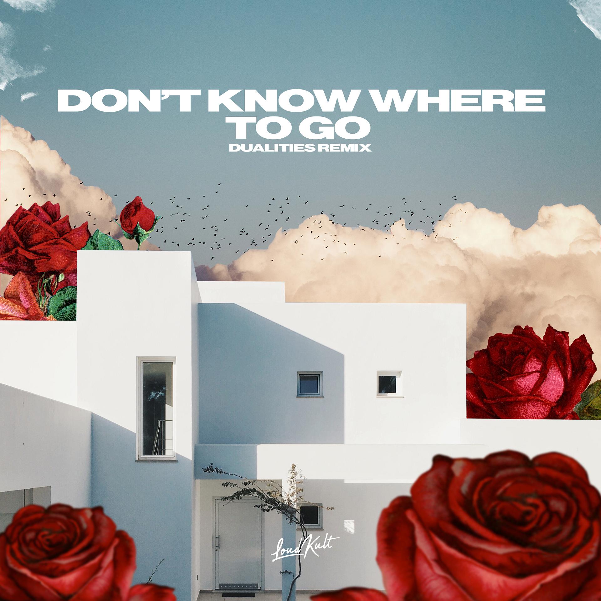 Постер альбома Don't Know Where to Go (Dualities Remix)