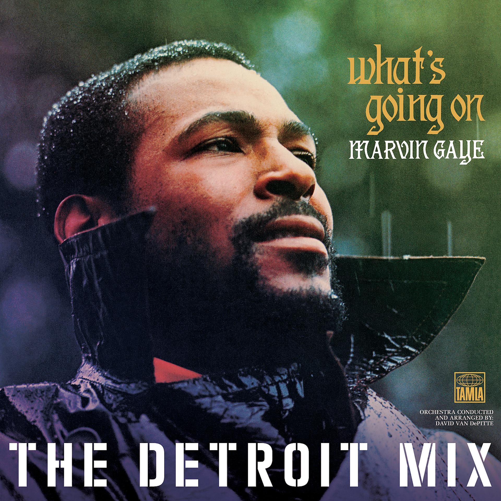 Постер альбома What’s Going On: The Detroit Mix