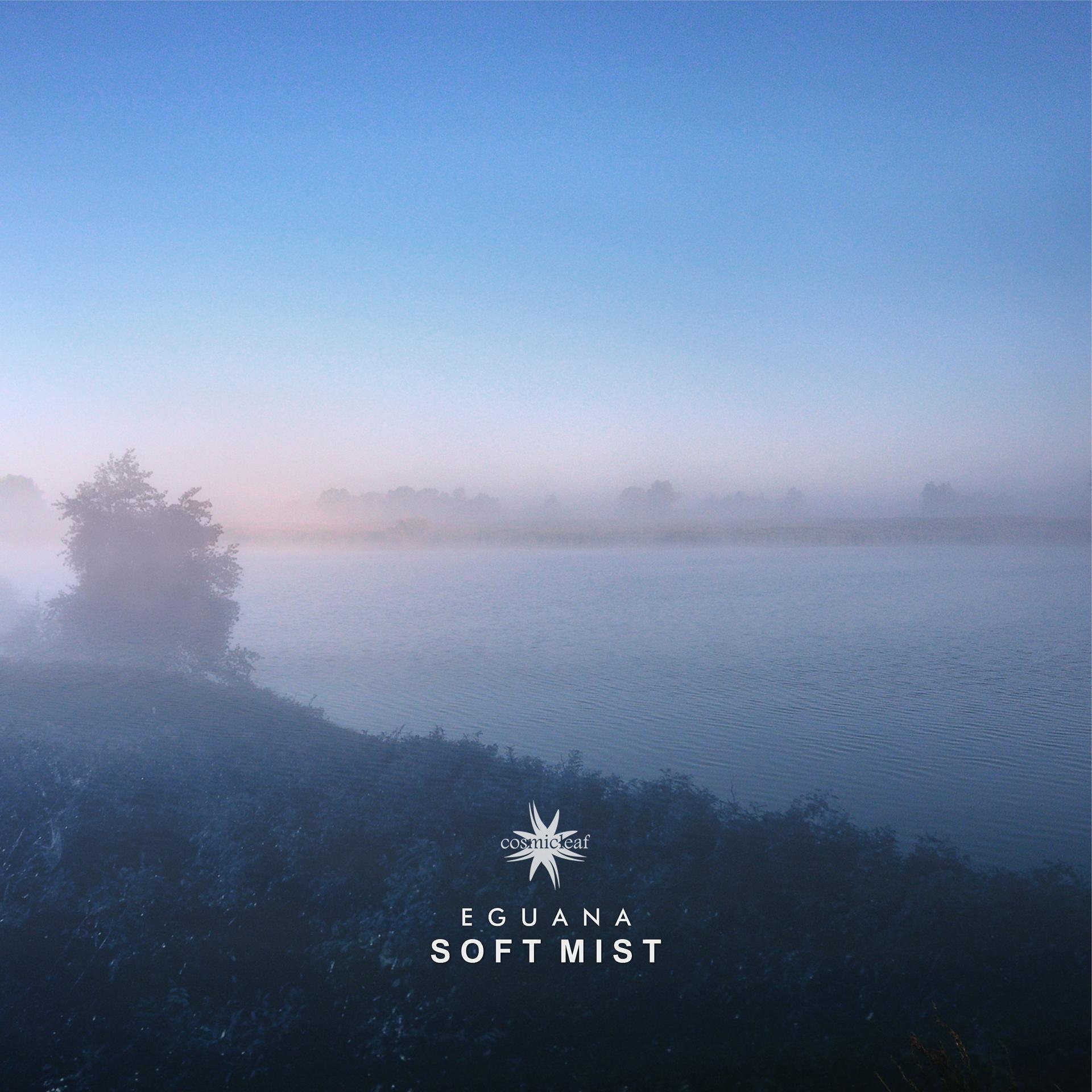 Постер альбома Soft Mist