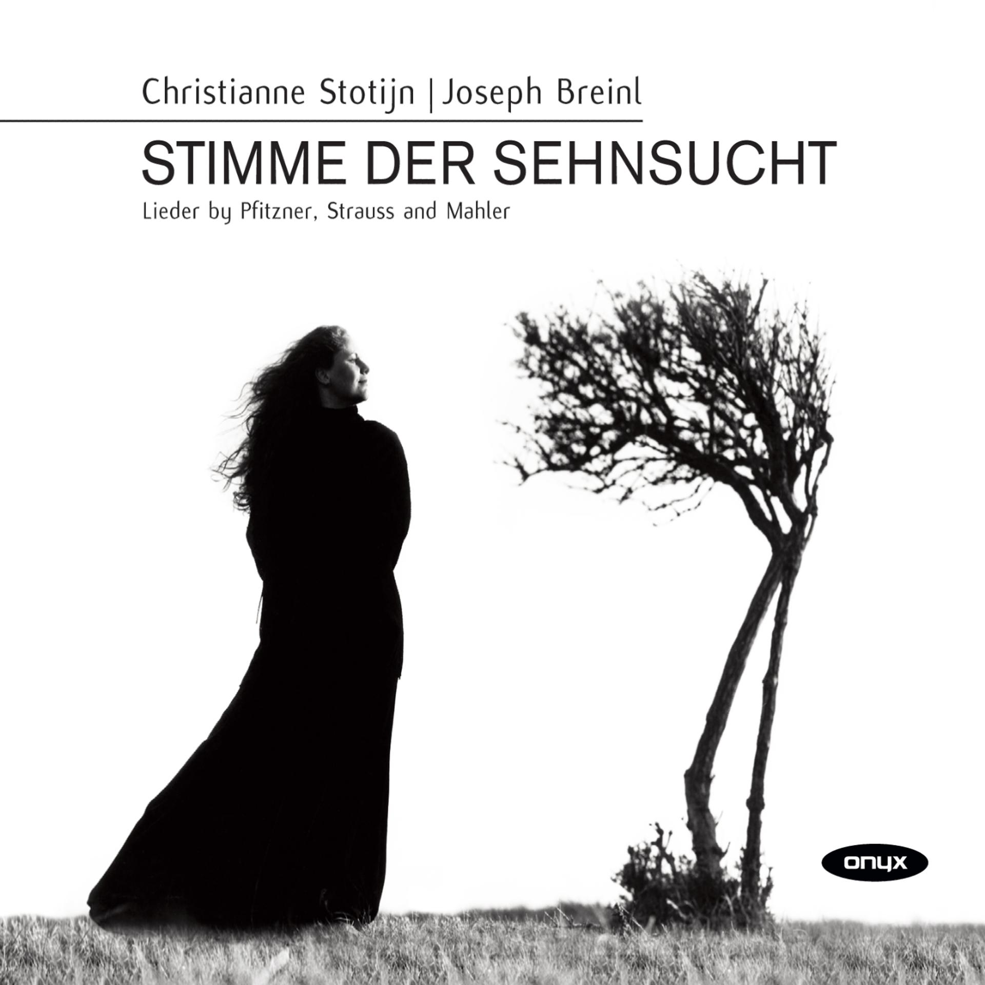 Постер альбома Stimme der Sehnsucht - Lieder by Pfitzner, Strauss and Mahler