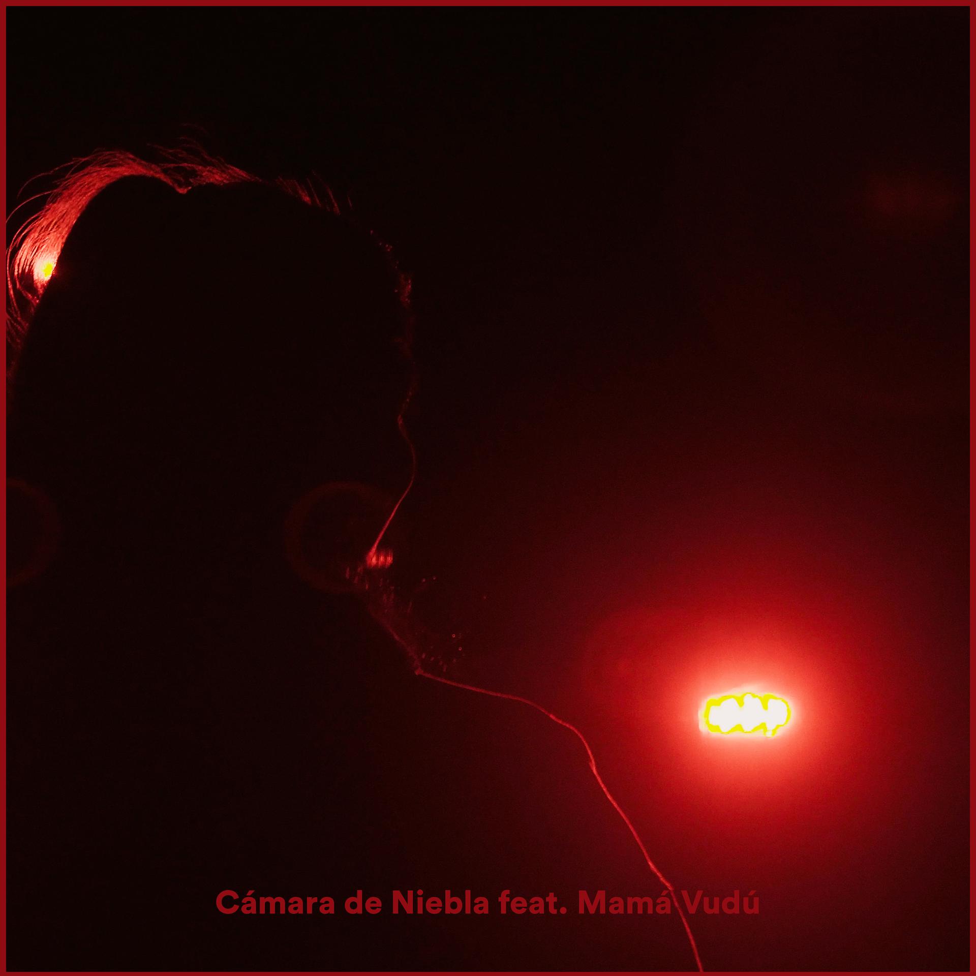Постер альбома Cámara de Niebla