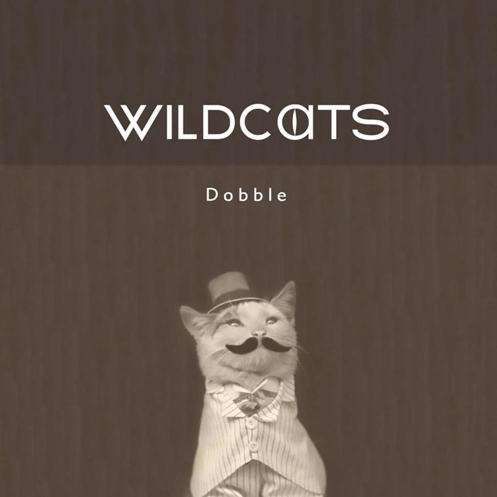 Постер альбома Wildcats - Single