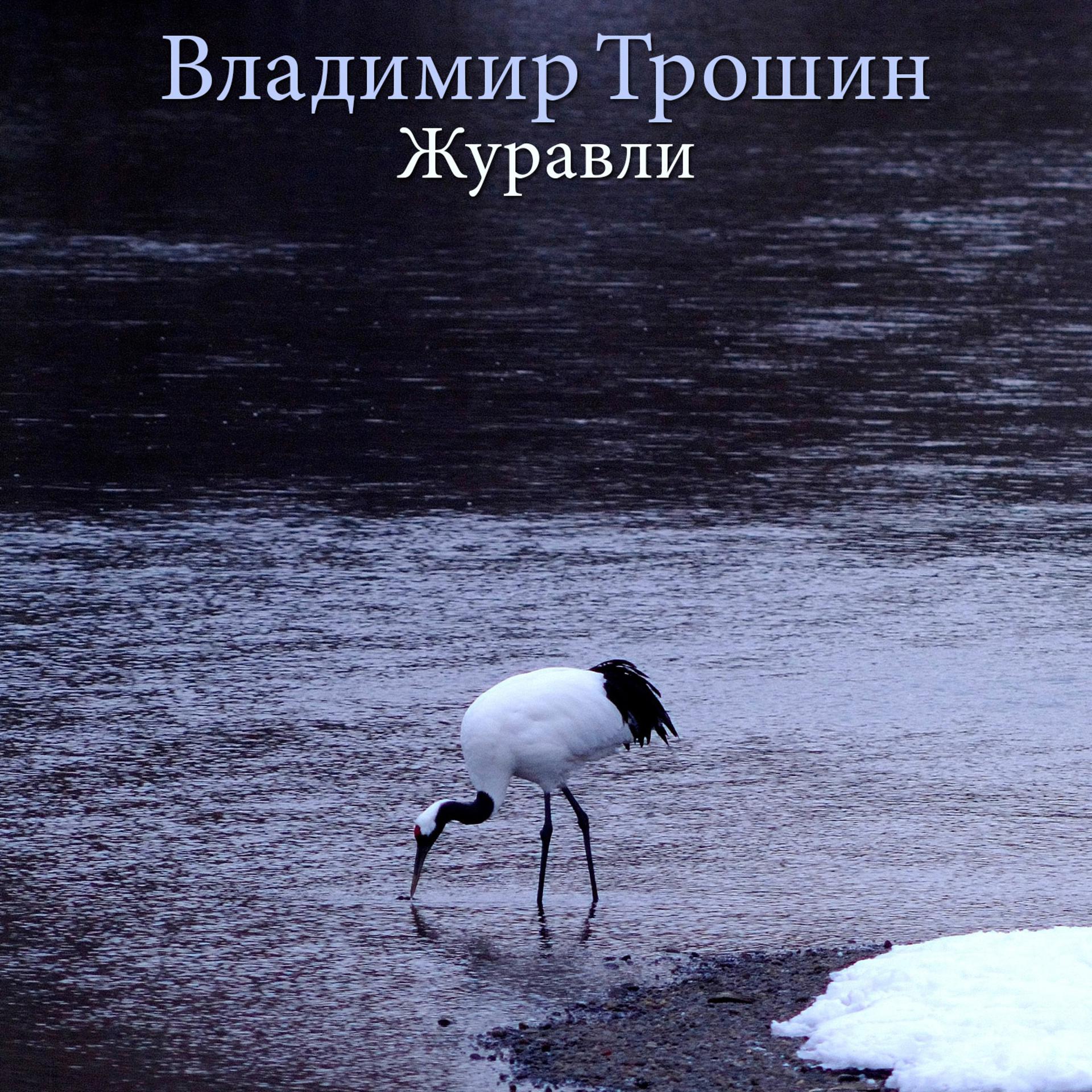 Постер альбома Журавли