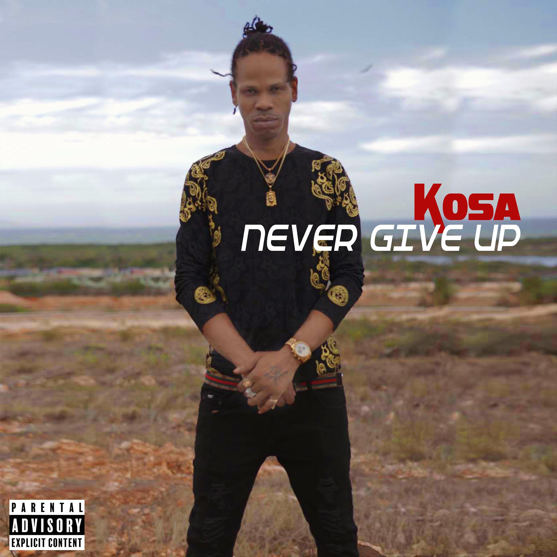 Постер альбома Never Give up - EP